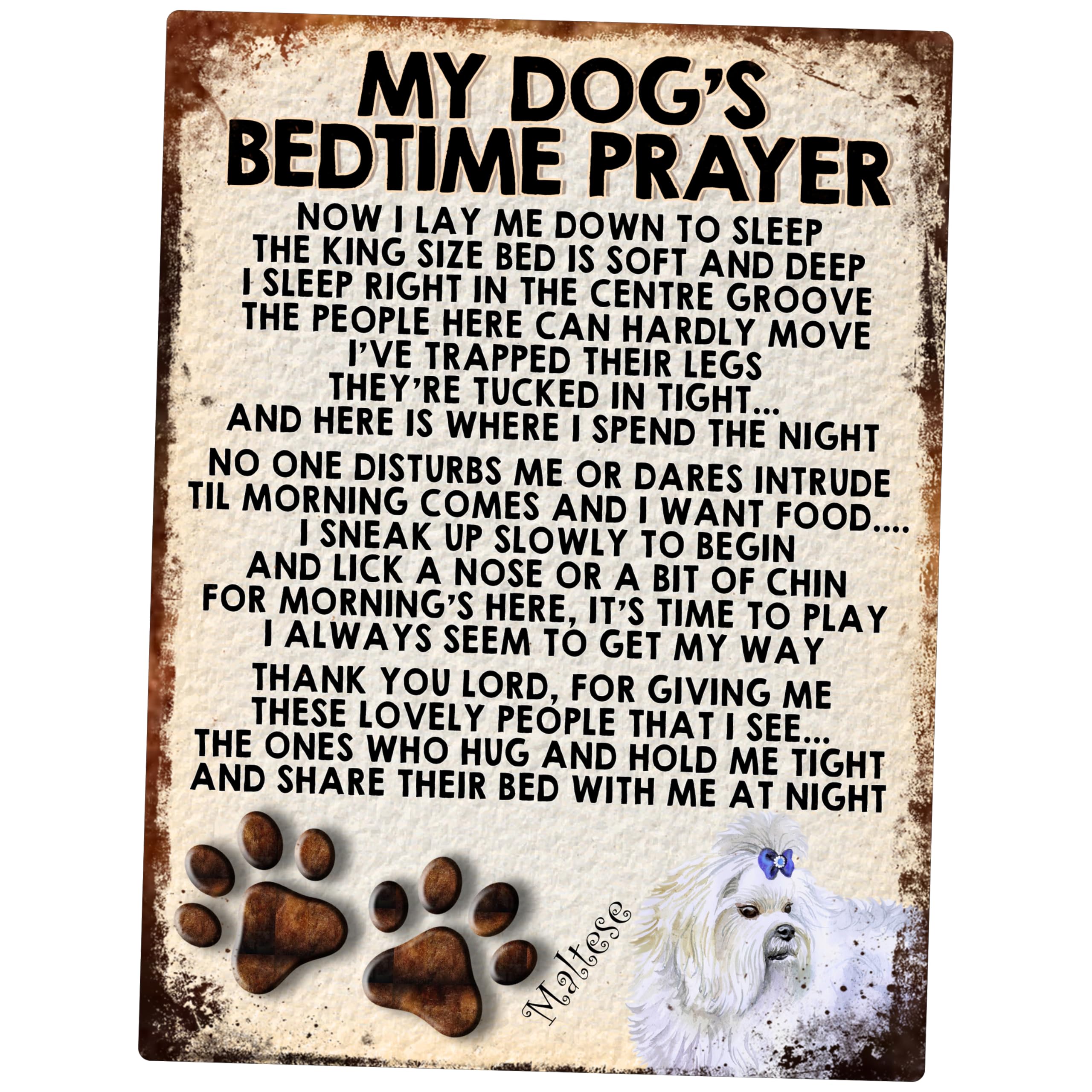 Shawprint Limited My Dog's Bedtime Prayer Retro Style Metal Tin Fridge Magnet (309Drf) Maltese