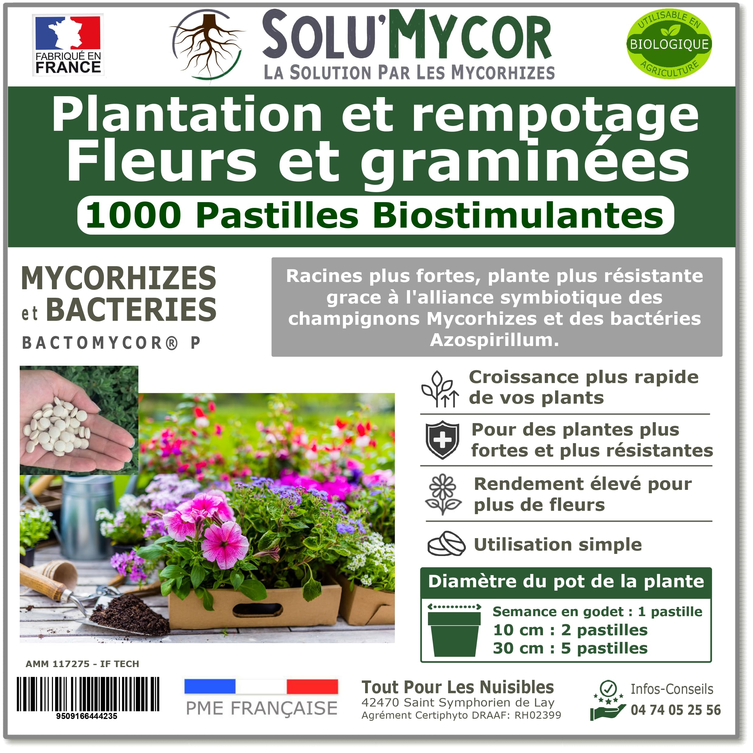 SoluMycor – 1000 Pastilles Biostimulantes Fleurs et graminées – Idéal pour Semis & Plantation – Mycorhizes & Bactéries Azospirillum – Favorise le Développement Racinaire – Fabriqué en France