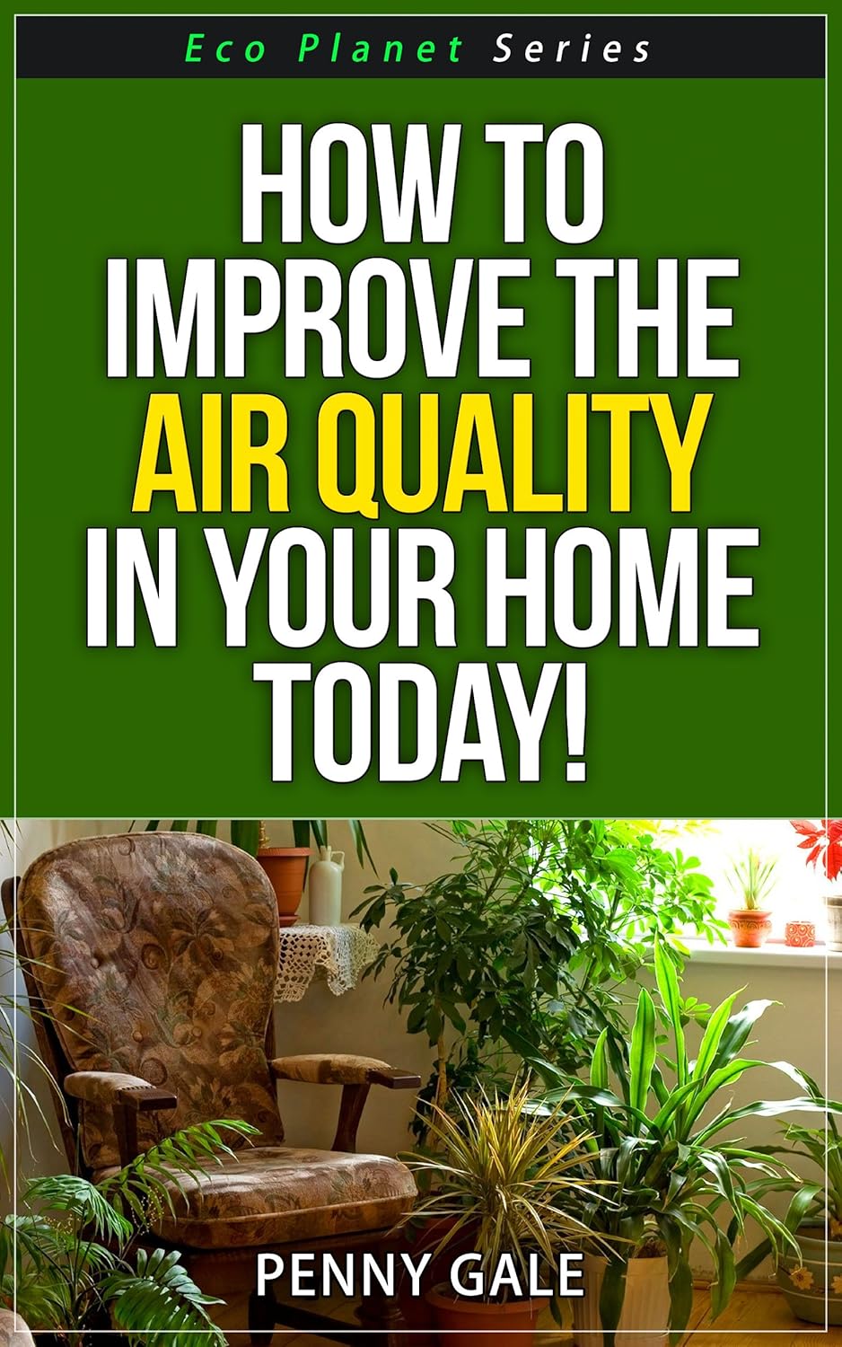 How To Improve The Air Quality In Your Home Today! Eco Series