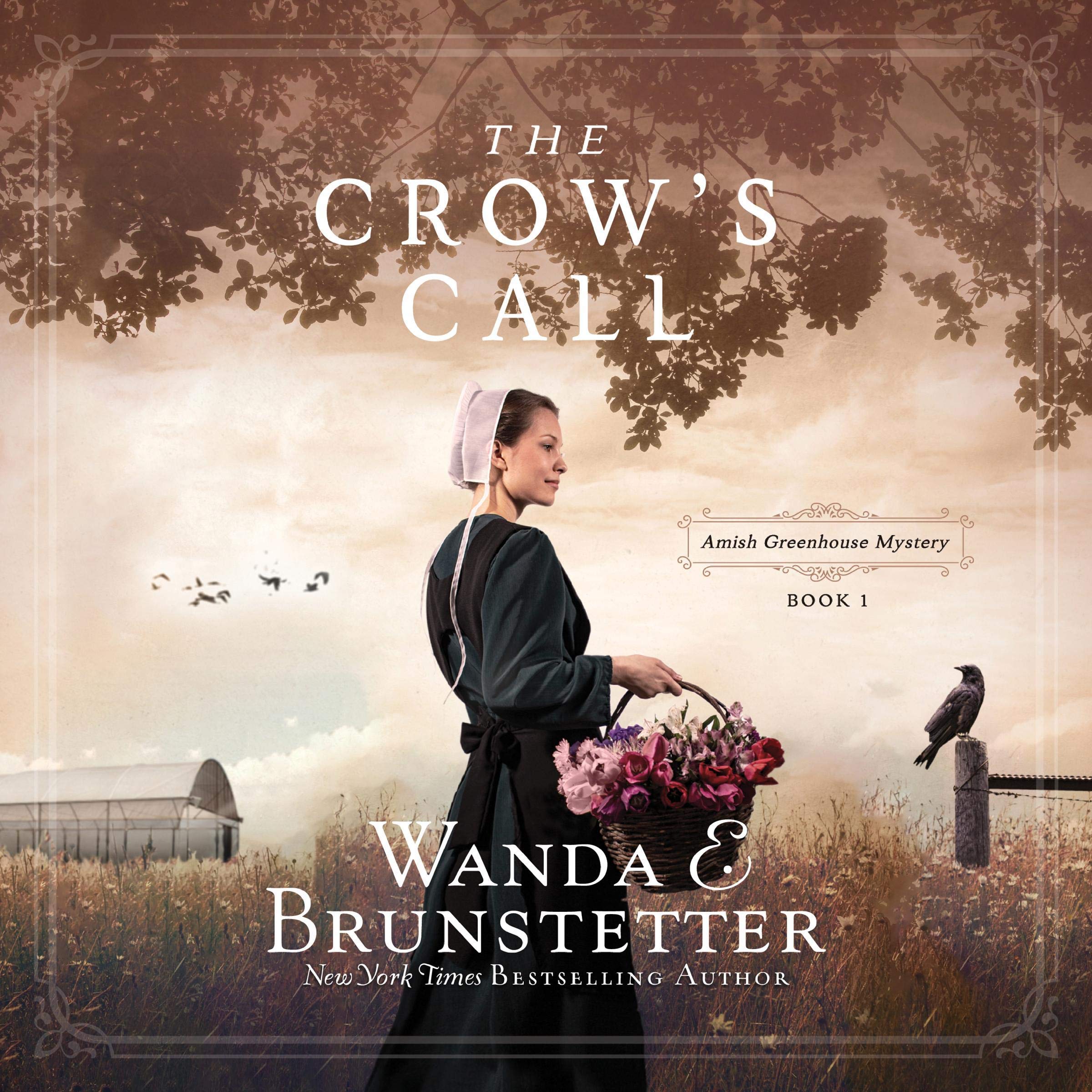 Cover art for The Crow's Call