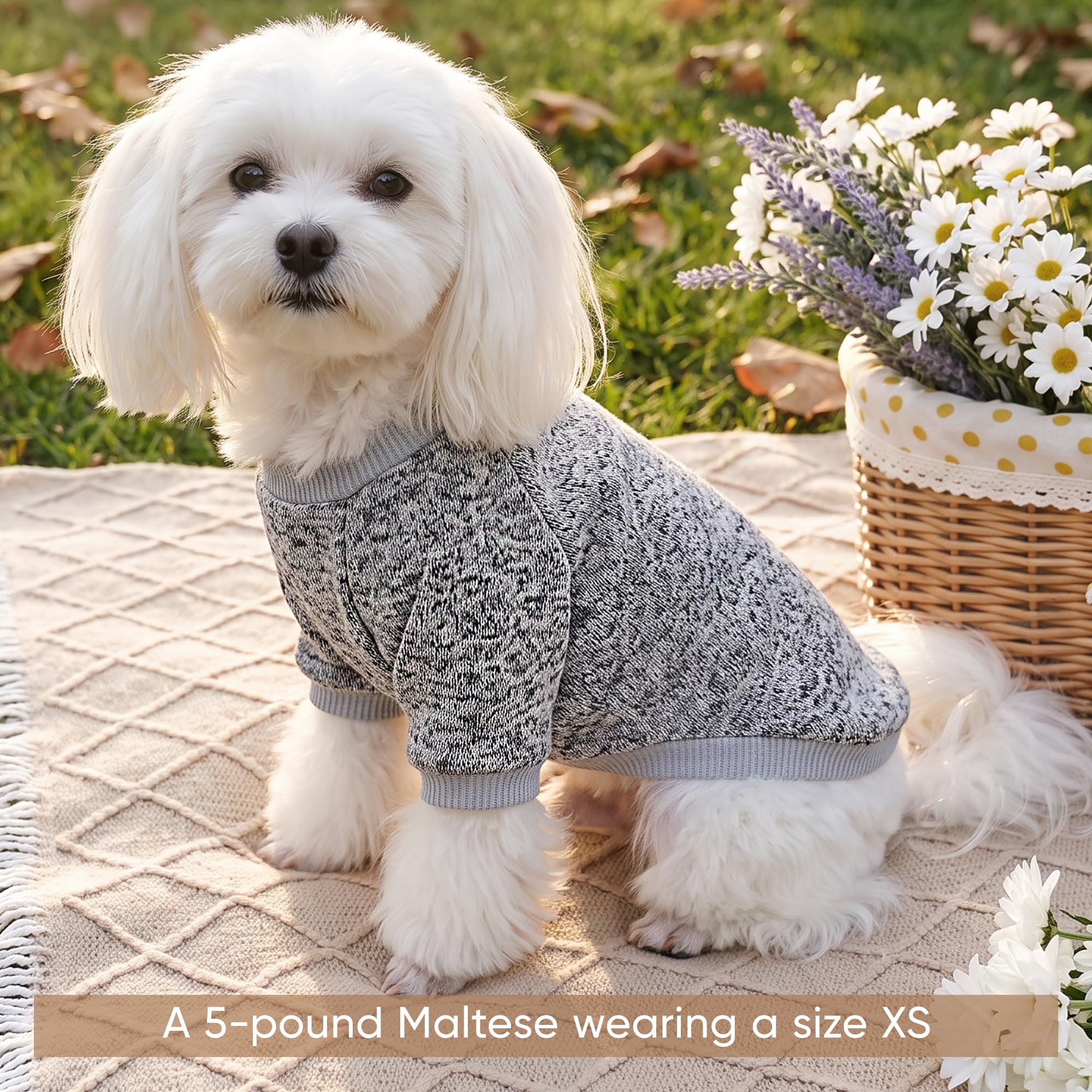 Lot de 2 pulls en polaire chaude pour chiens de petite et moyenne
