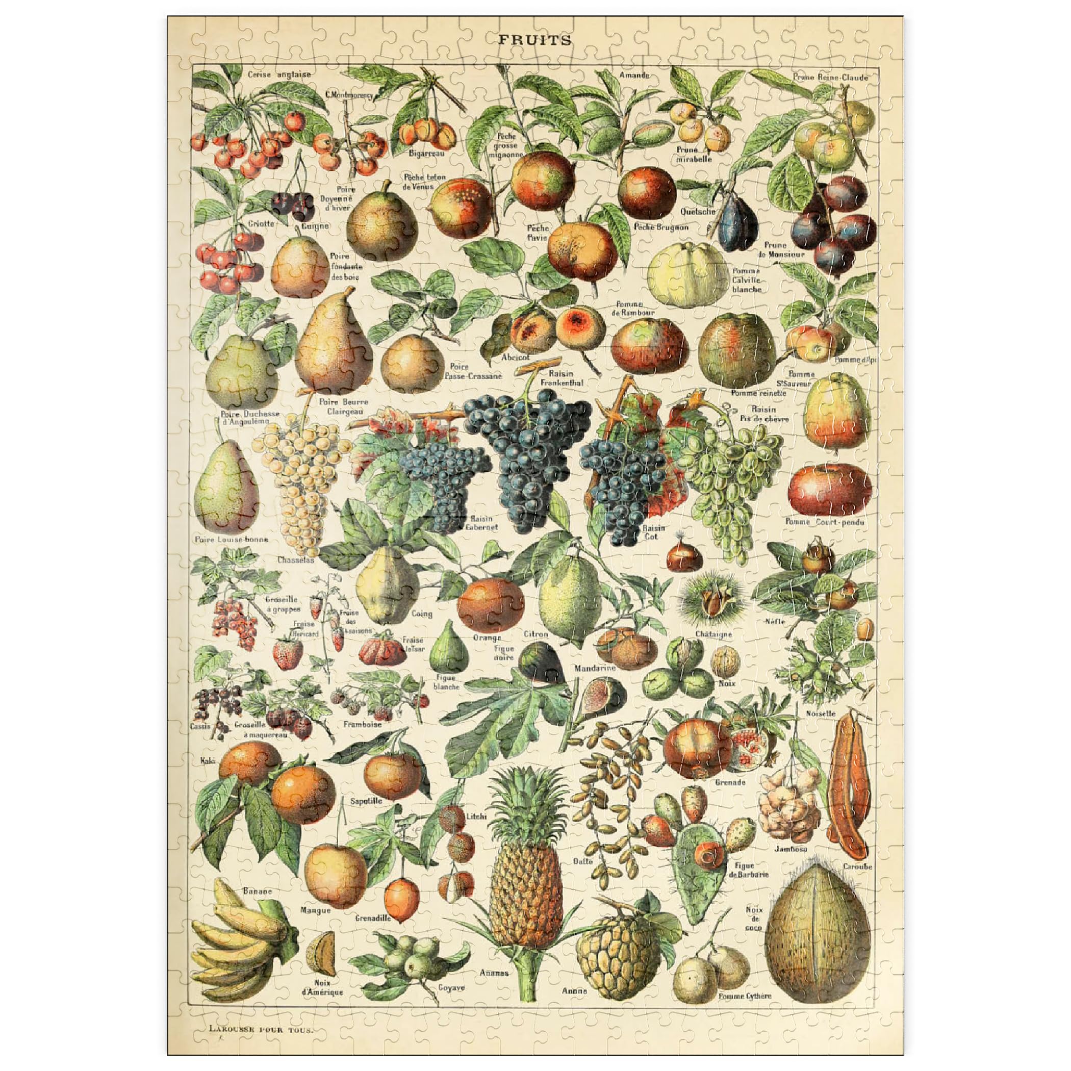 Fructus, Fruits for All Vintage Art Poster, Adolphe Millot, Premium 500 pieces Puzzle
