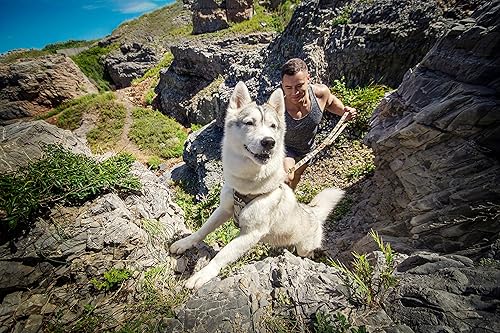 Miniatura 10 de Puppytie Arnés para perro con correa multifuncional, chaleco para perro sin tirones, sin estrangulamiento, a prueba de escape, suave arnés