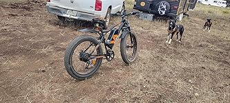 Review Image by Leland 1. Leland 1.