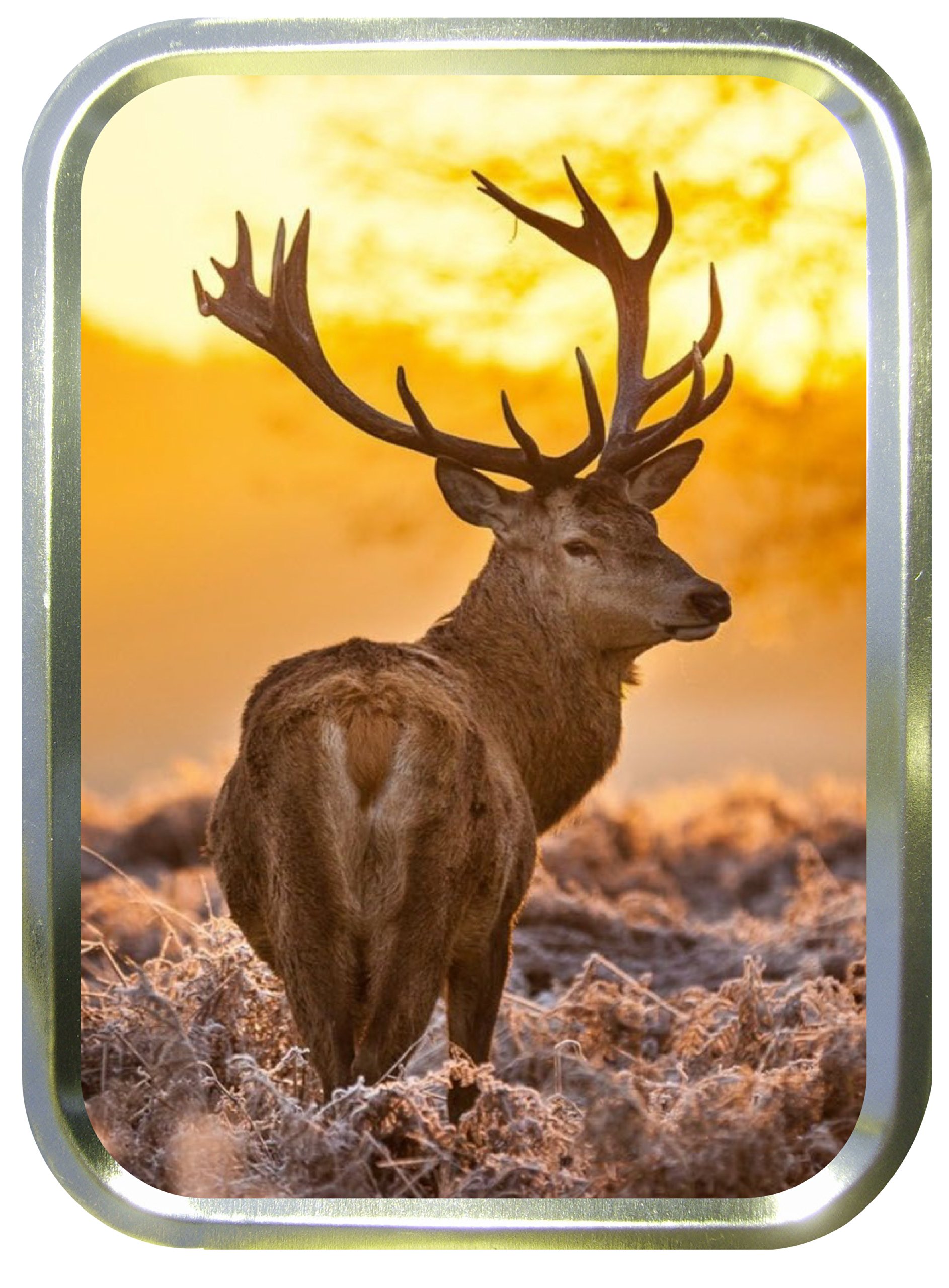 Noveltyshack Gold Emperor Stag 2Oz Tobacco Tin,Storage Tin,Bait Tin,Hunting Tin