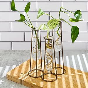 Propigation Station Terrariums with Gold Metal Stand - Kate Aspen 3 Glass Test Tube Planters for Indoor Plant, Air Plants, Plant Clippings, Cut Flowers, Herbs, Succulents | Home Decor Table Decoration