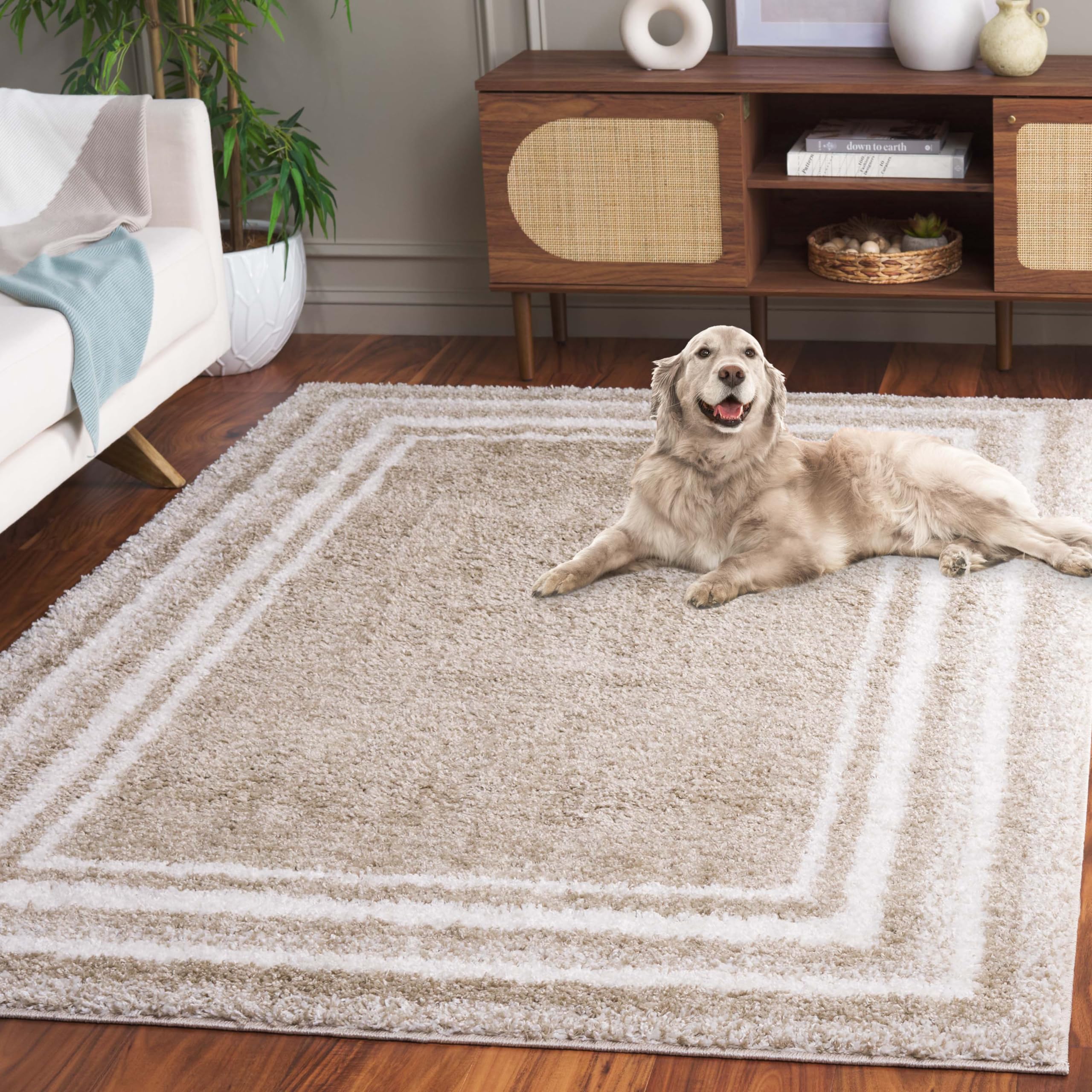 Amazon.com: Safavieh Border & Stripe Shag Collection Area Rug - 5