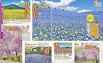 るるぶ　茨城国体　障スポ　観戦&おでかけガイド　本　非売品 るるぶ 茨城国体 障スポ 観戦&おでかけガイド 本 非売品 るるぶ