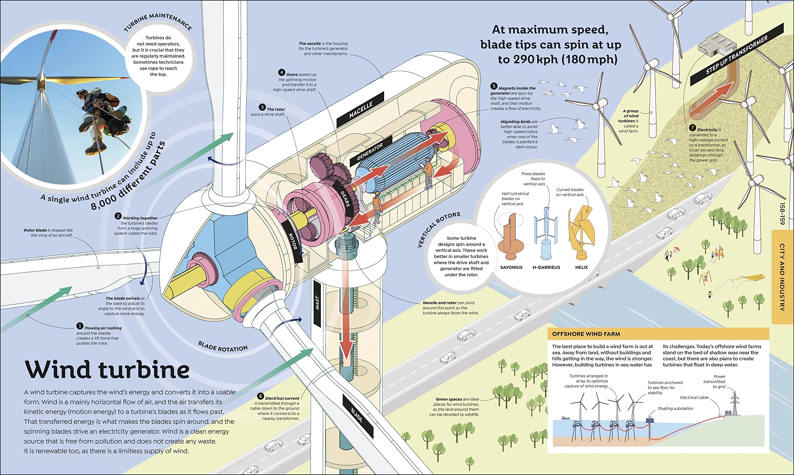 How Everything Works: From Brain Cells to Black Holes