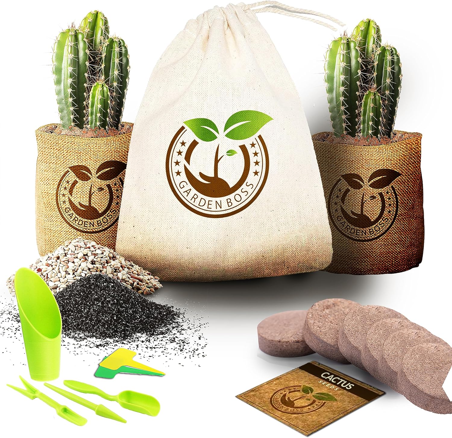 Cactus Seed DIY Germination Starter Kit for Indoor Growing Complete Indoor Kit