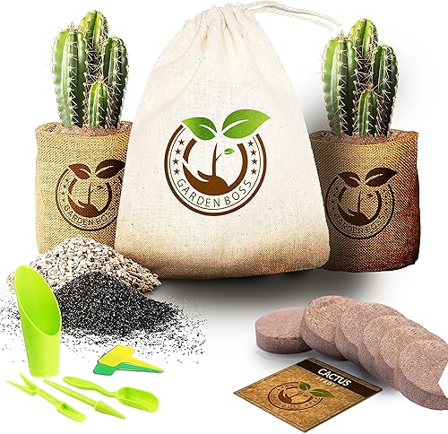 Kit de iniciación de germinación de semillas de cactus para cultivo en interiores, kit completo de interior con semillas, discos de tierra, rocas,