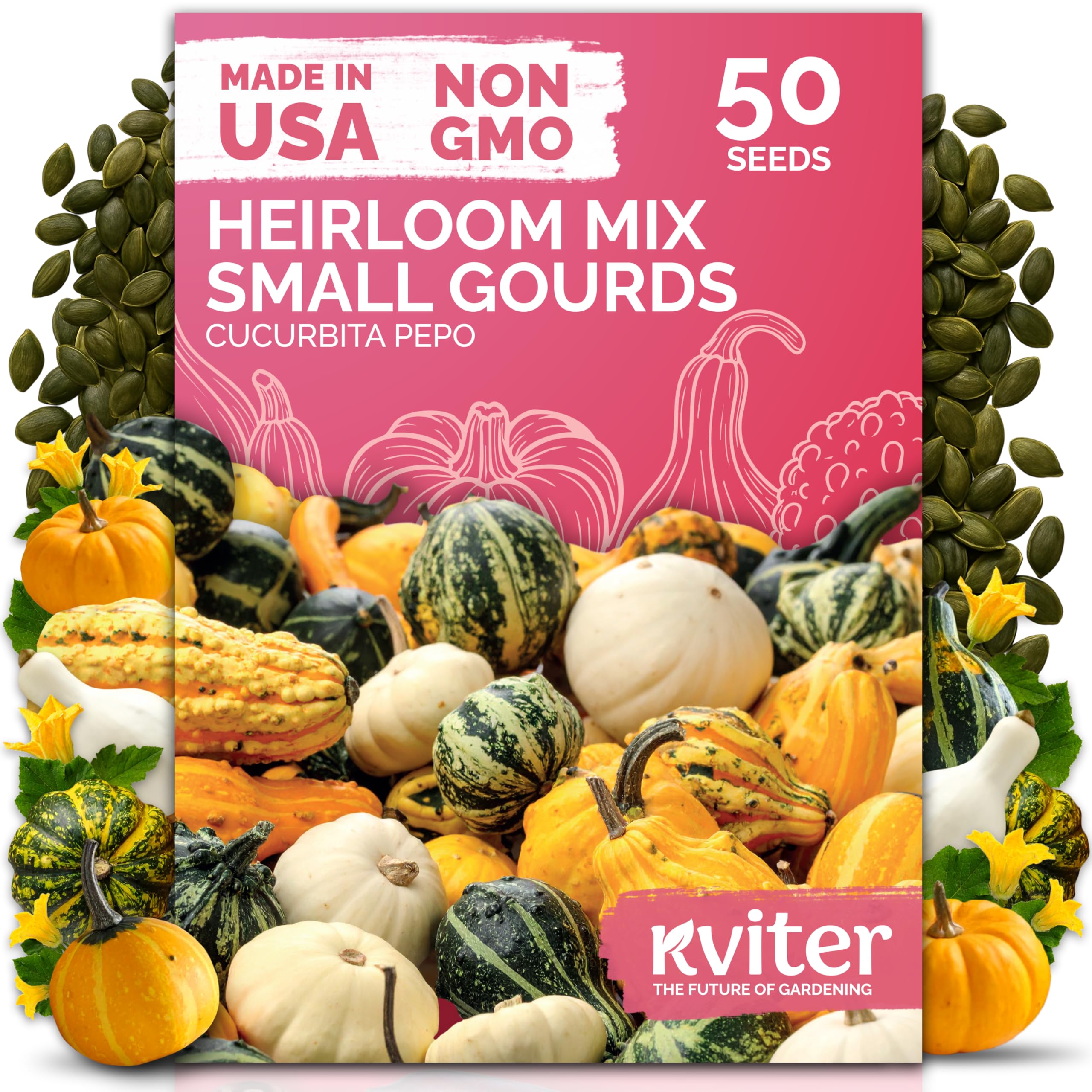 KVITER 50 Small Gourd Seeds Mix (Cucurbita Pepo) – Ornamental Fall Decor Gourds, Non GMO & Organic – Perfect Heirloom Seeds for Planting Decorative Gourds in Vegetable Garden