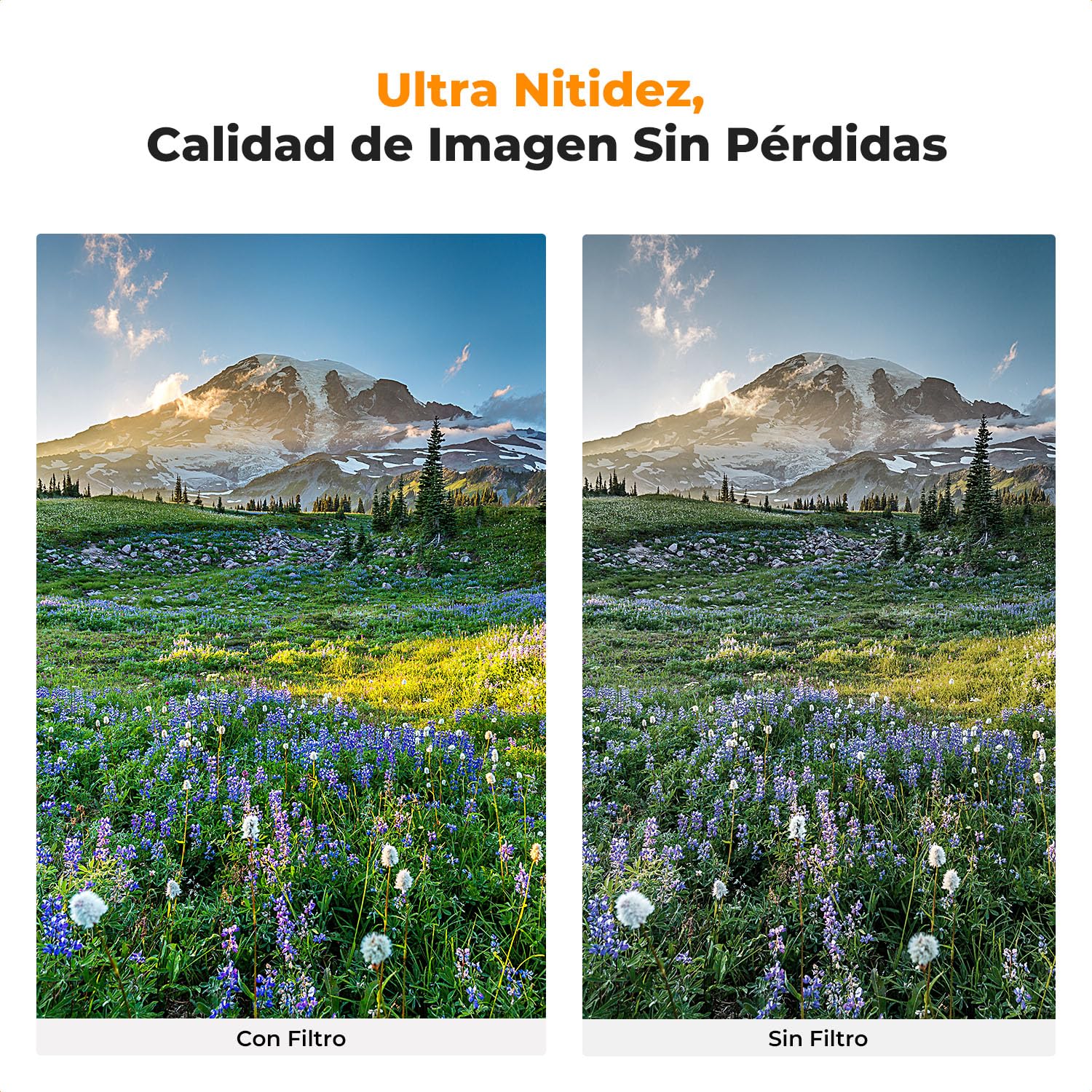 K&F CONCEPT Nano-D Filtro 82mm Polarizador Circular CPL Slim HD de Vidrio Óptico con 24 Capas Nano Revestimiento