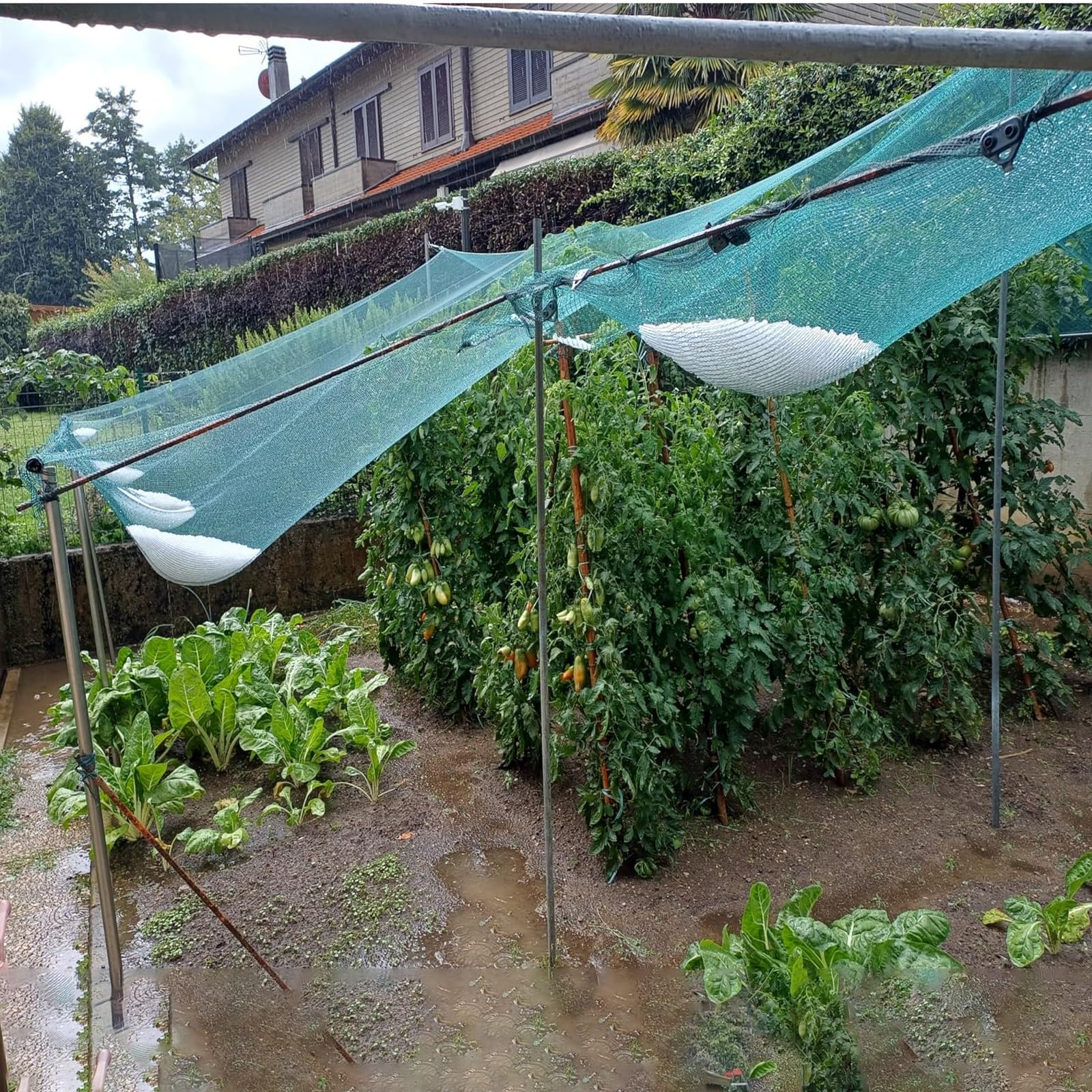 Malla Antigranizo para Plantas, Malla Fina Antigranizo para Huerto y Jardín, Red Antipájaros para Árboles Frutales, Estanque, Balcón, Tamaño Cortable(4x10m)