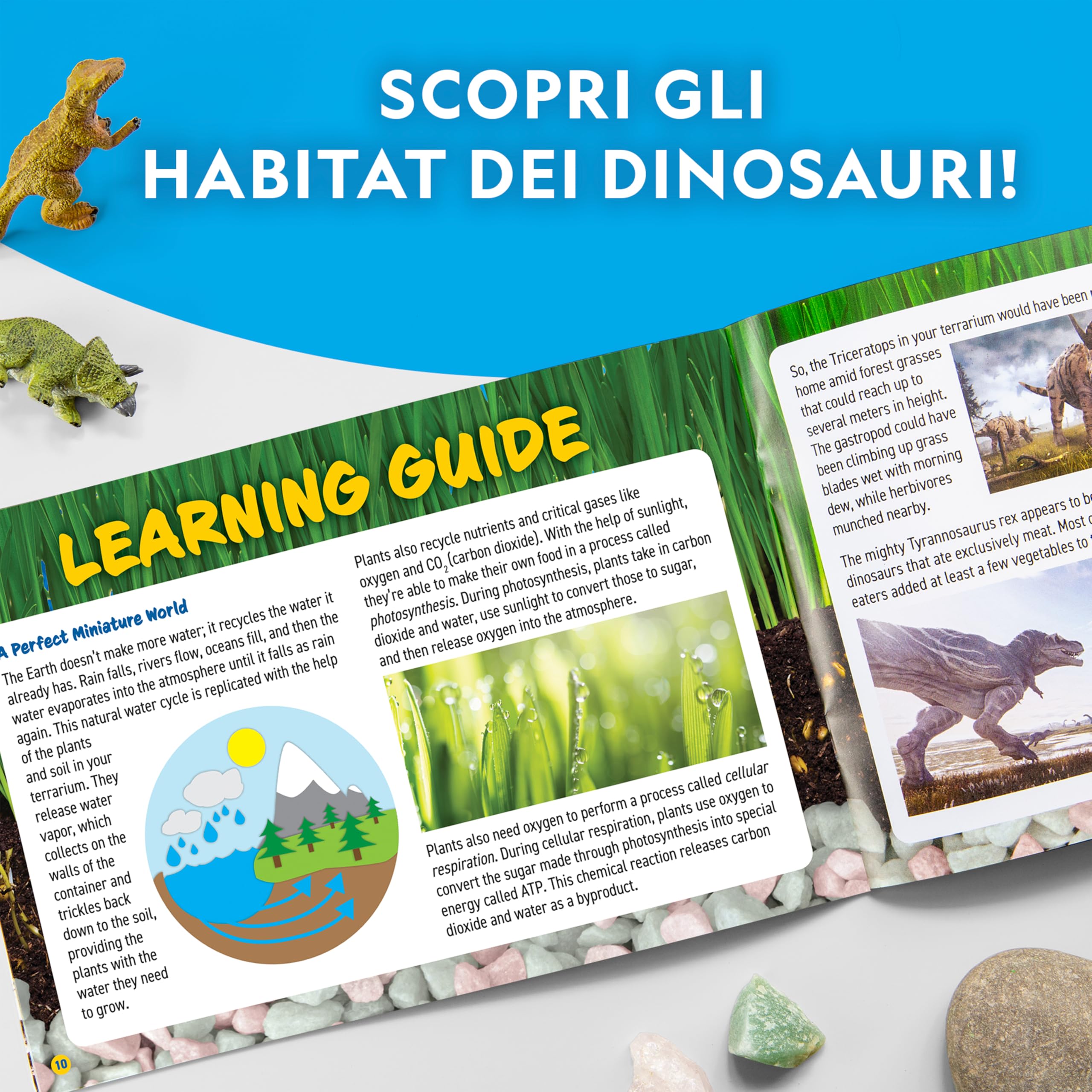 NATIONAL GEOGRAPHIC Terrarium Luminoso per Bambini – Crea un Habitat con Piante Vere ed Elementi Preistorici, Kit Scientifico con Dinosauri