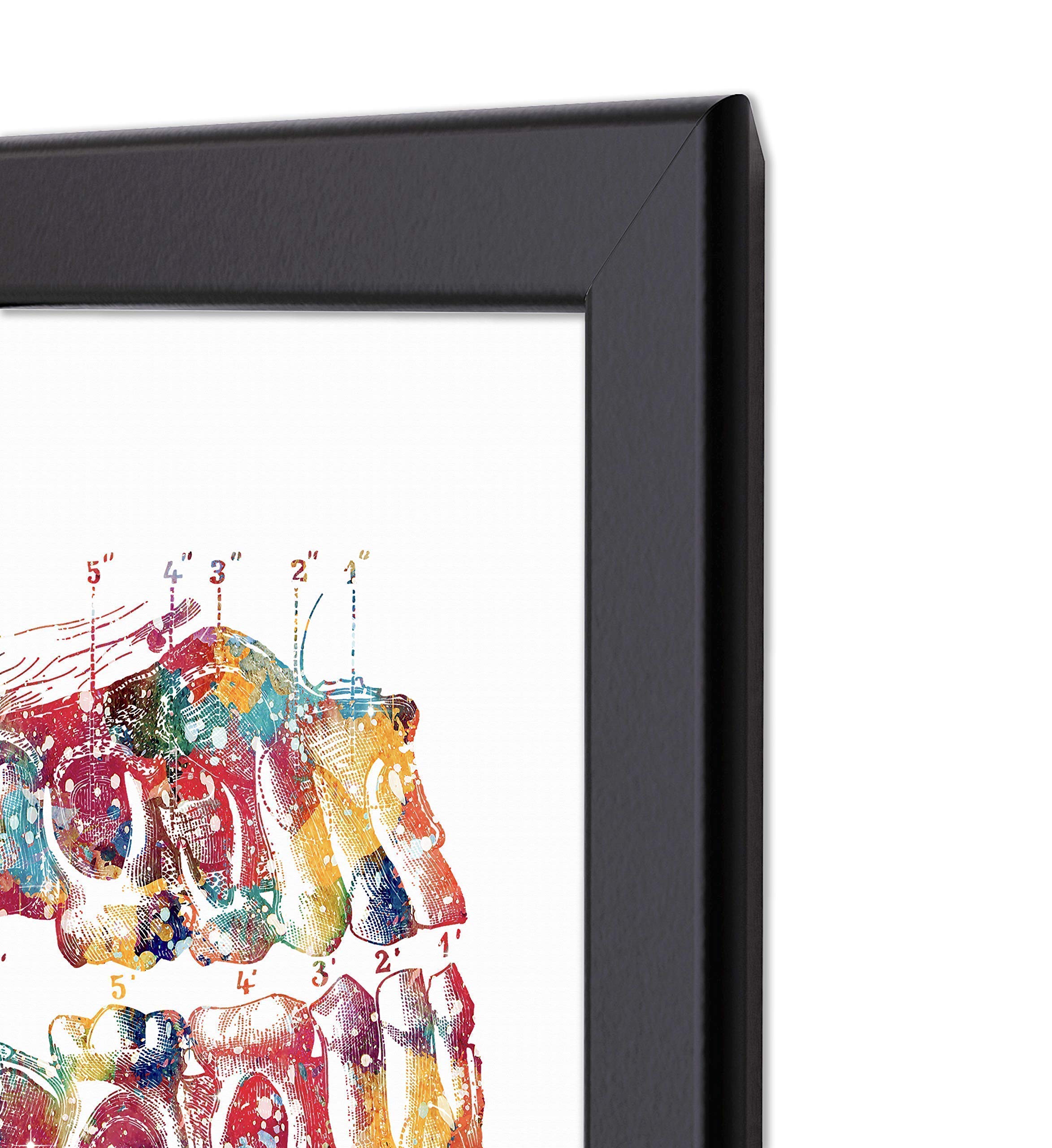 Dental Watercolor 8x10 Unframed Print Set Tooth Chart Wall Art Dental