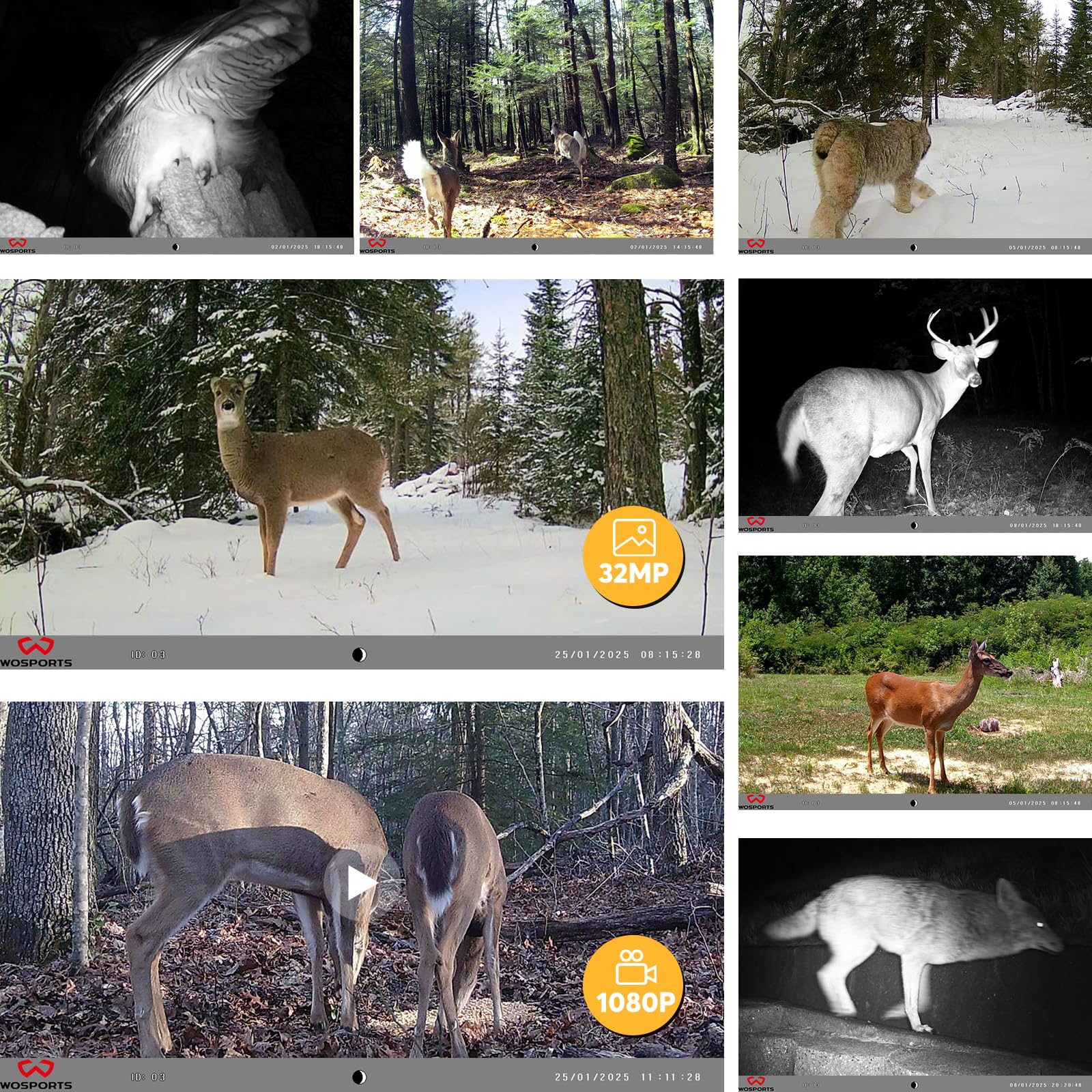 WOSPORTS Trail Camera 6 Pack, 32MP 1080P HD, Deer Camera with 32GB SD Card, Game Cameras with Night Vision Motion Activated Waterproof, Outdoor Wildlife Monitoring Equipment for Hunting