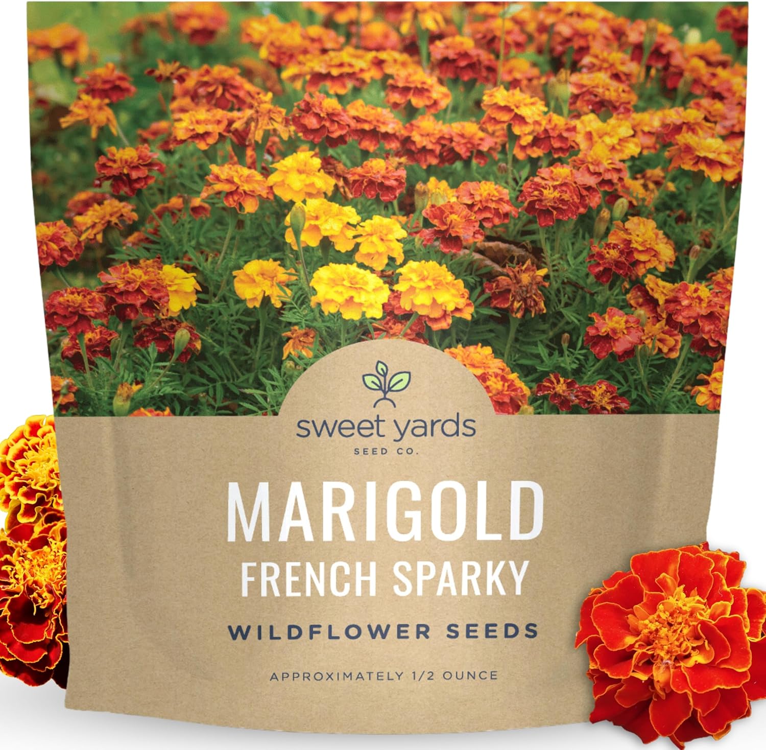 Marigold French Sparky - Bulk 2 Ounce Pouch - 15,000 Flower Seeds for Planting - Tagetes patula