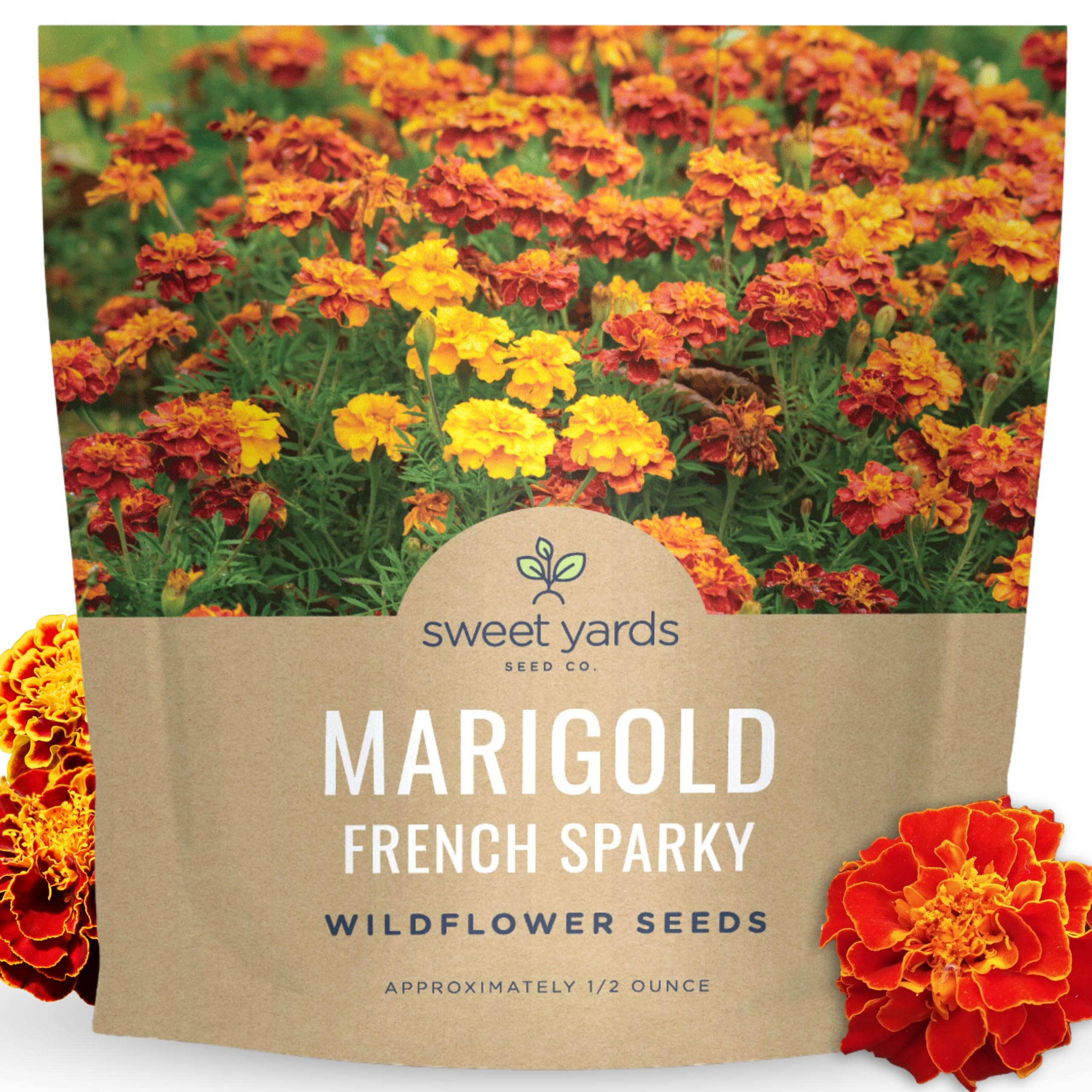 Sweet Yards Marigold French Sparky