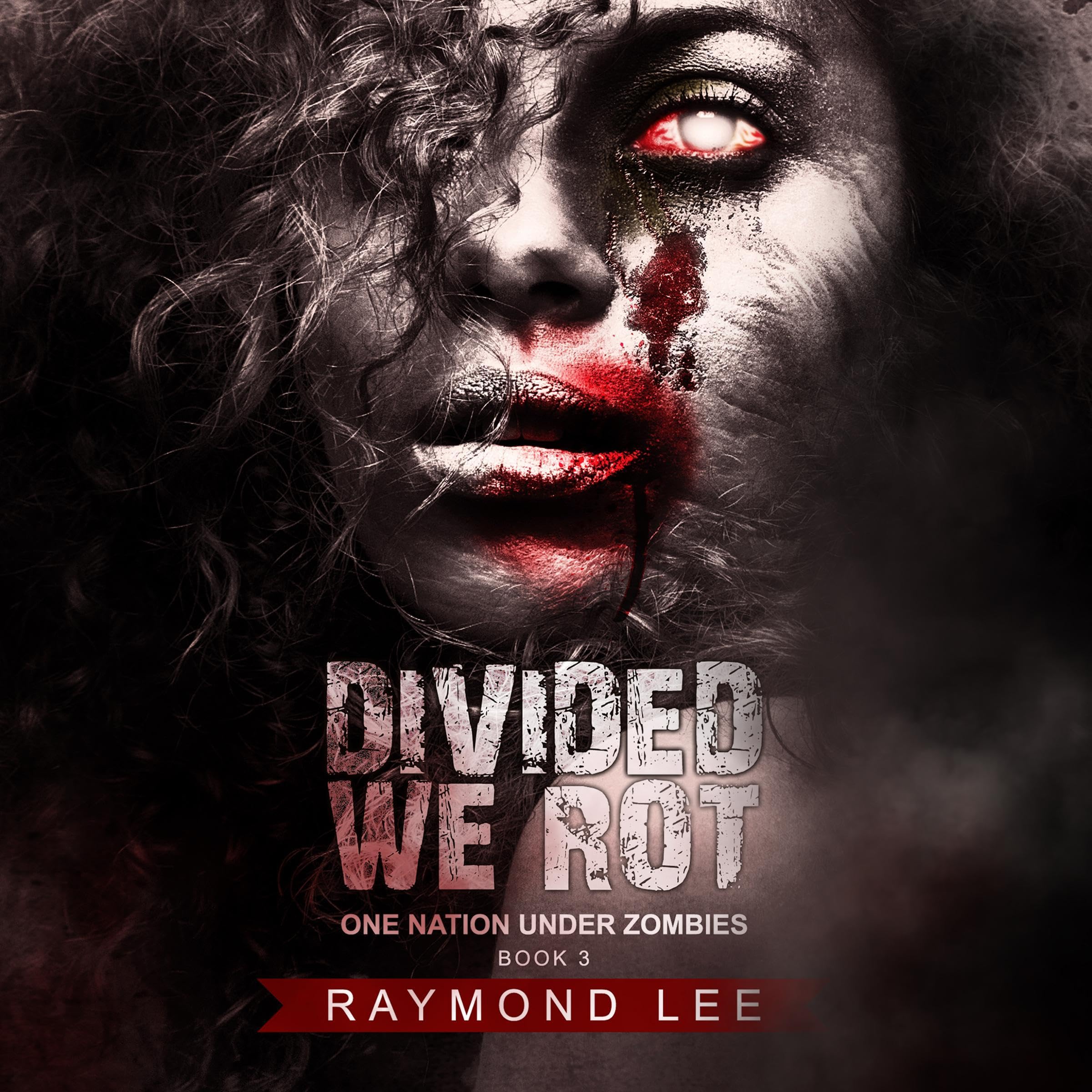 Cover art for Divided We Rot