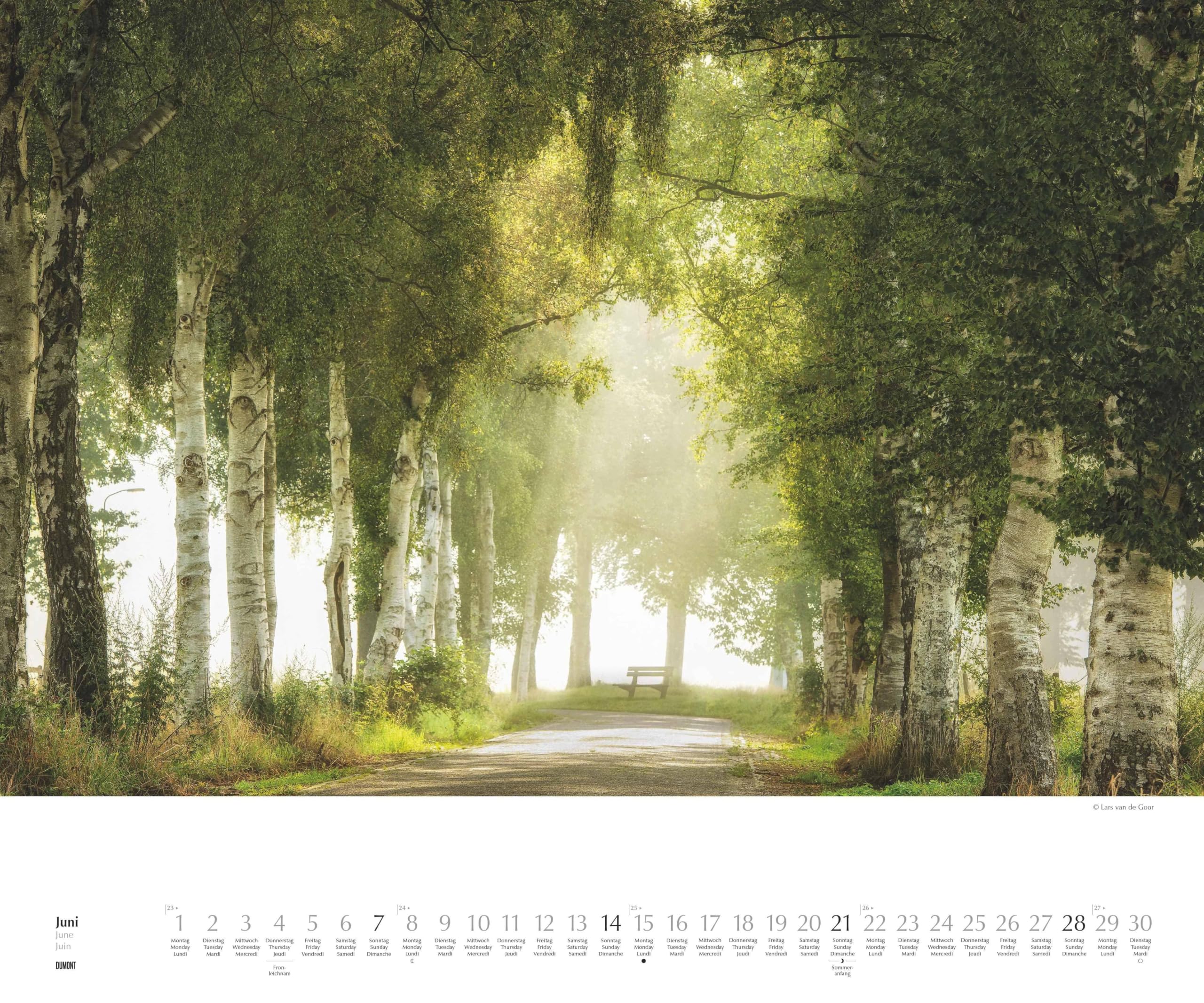DUMONT - Waldspaziergang 2026 – Fotokunst-Kalender Querformat 60 x 50 cm – Naturfotografie von Lars van de Goor für Wald- & Naturfreunde: A walk in the Woods Promenade en foret