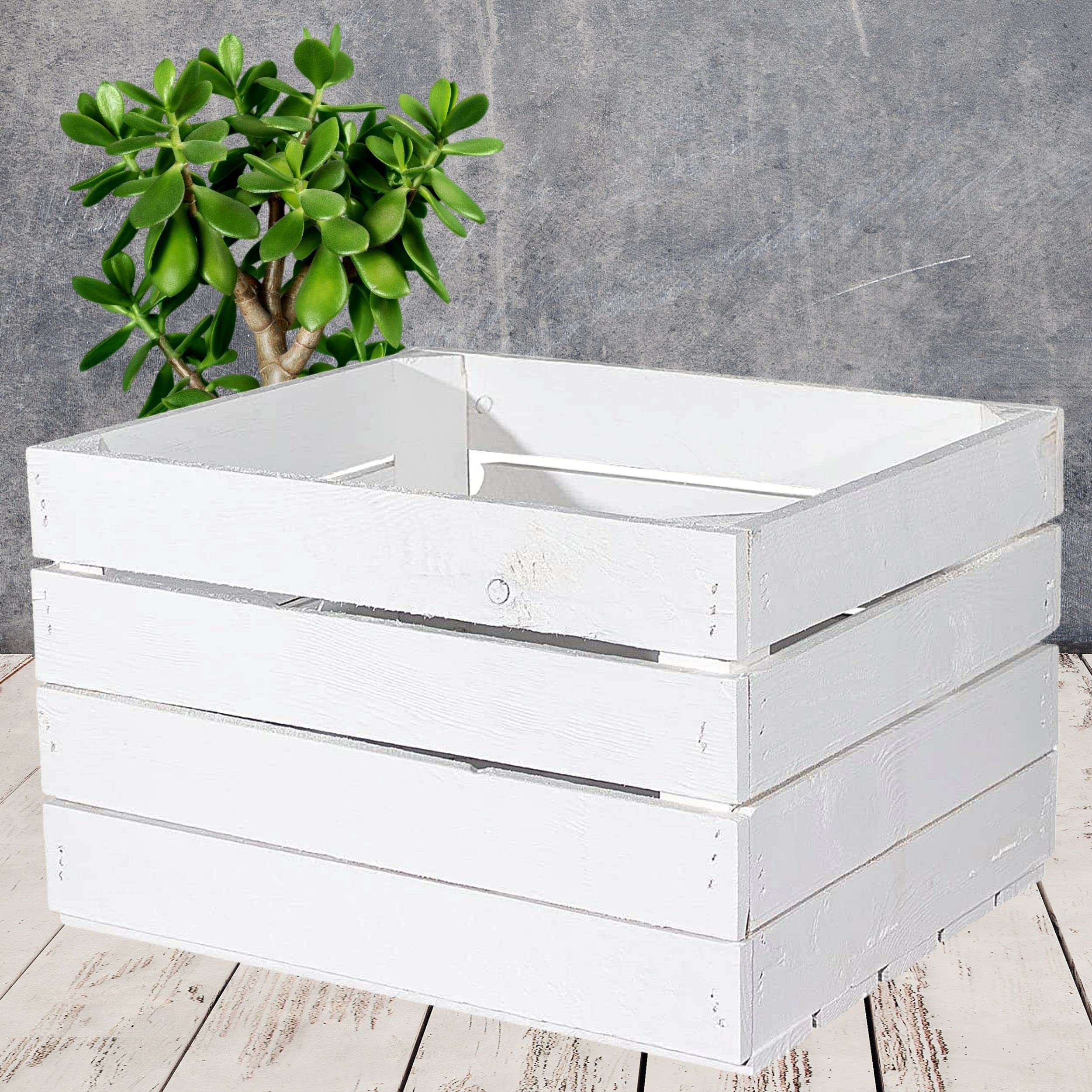 3 nuove cassette per mele, colore bianco (scatola di legno, cassetta della frutta, scatola del vino shabby chic), 50 x 40 x 30 cm