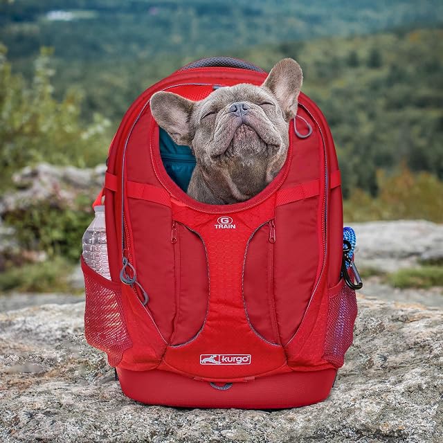 Foto 8 de 8 de Kurgo G-Train Mochila Transportín, Rojo