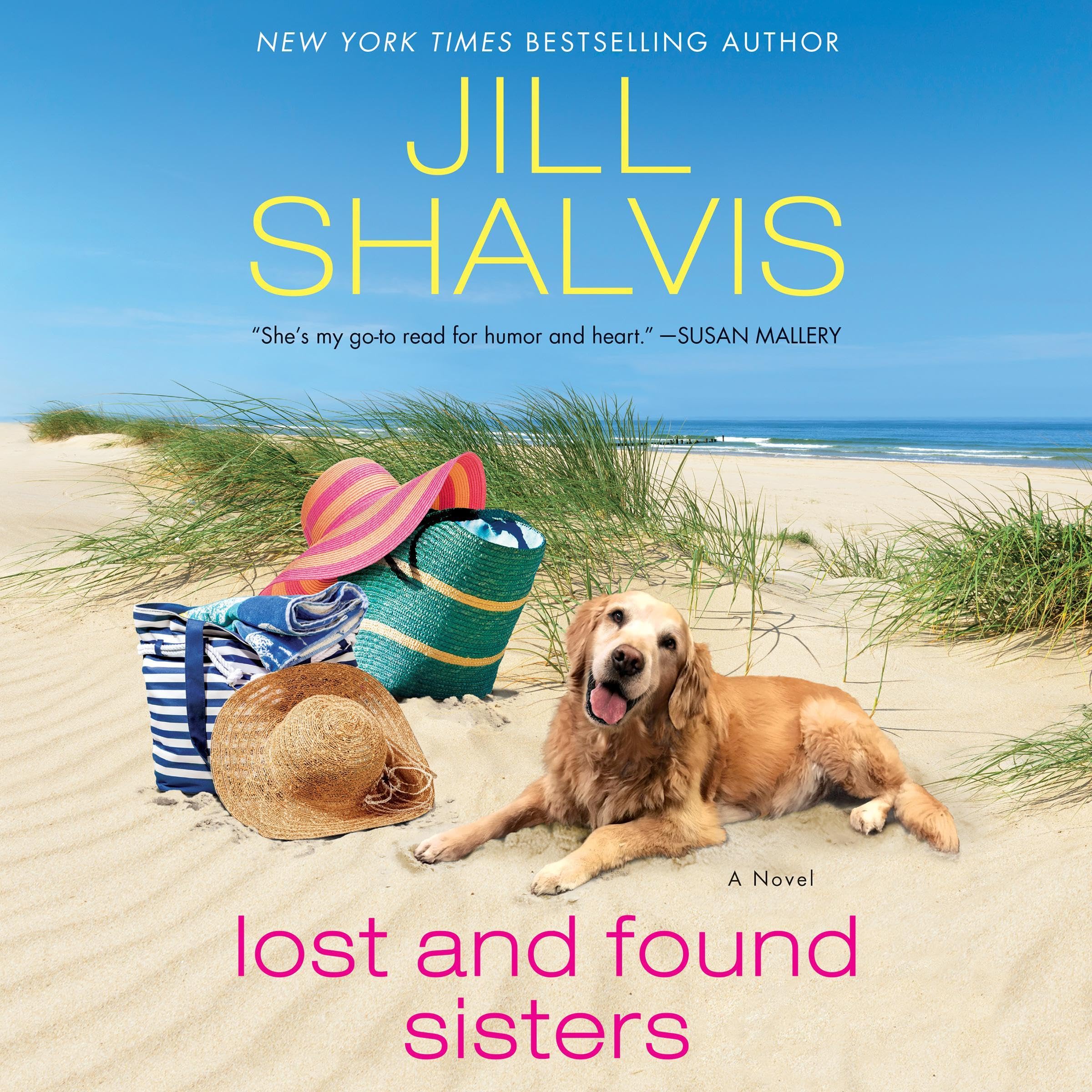 Cover art for Lost and Found Sisters