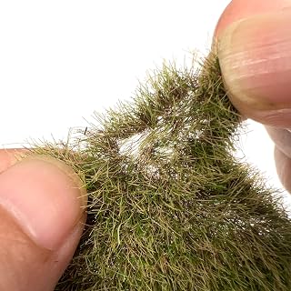 Miniature Model Grass Tufts & 8mm Static Grass Sheets for Diorama - 3.27x2.17 Inch Terrain Scenery for Railway, Train, Car Diorama & Miniature Scene Models (Autumn Green)