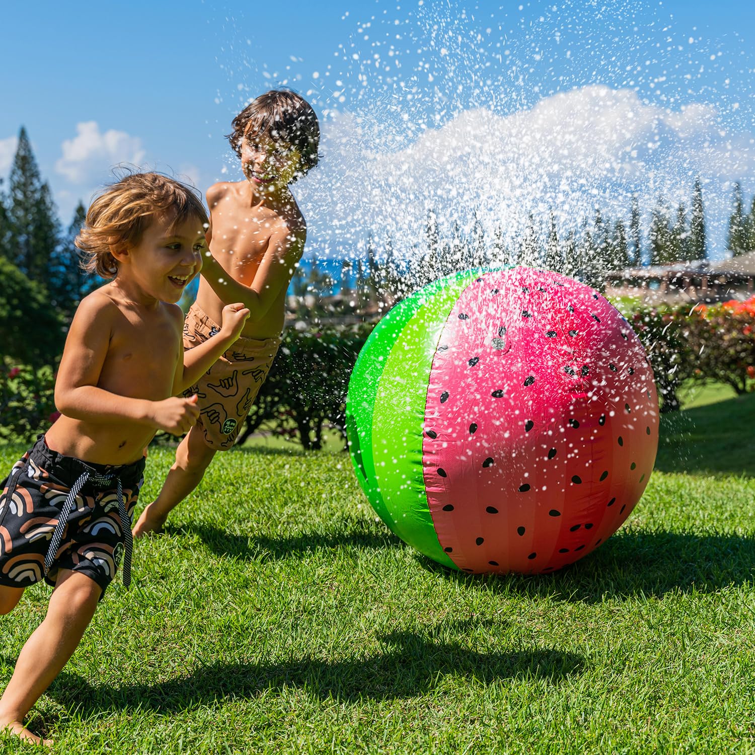 giant watermelon beach ball