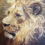 painting nature animals art wildlife