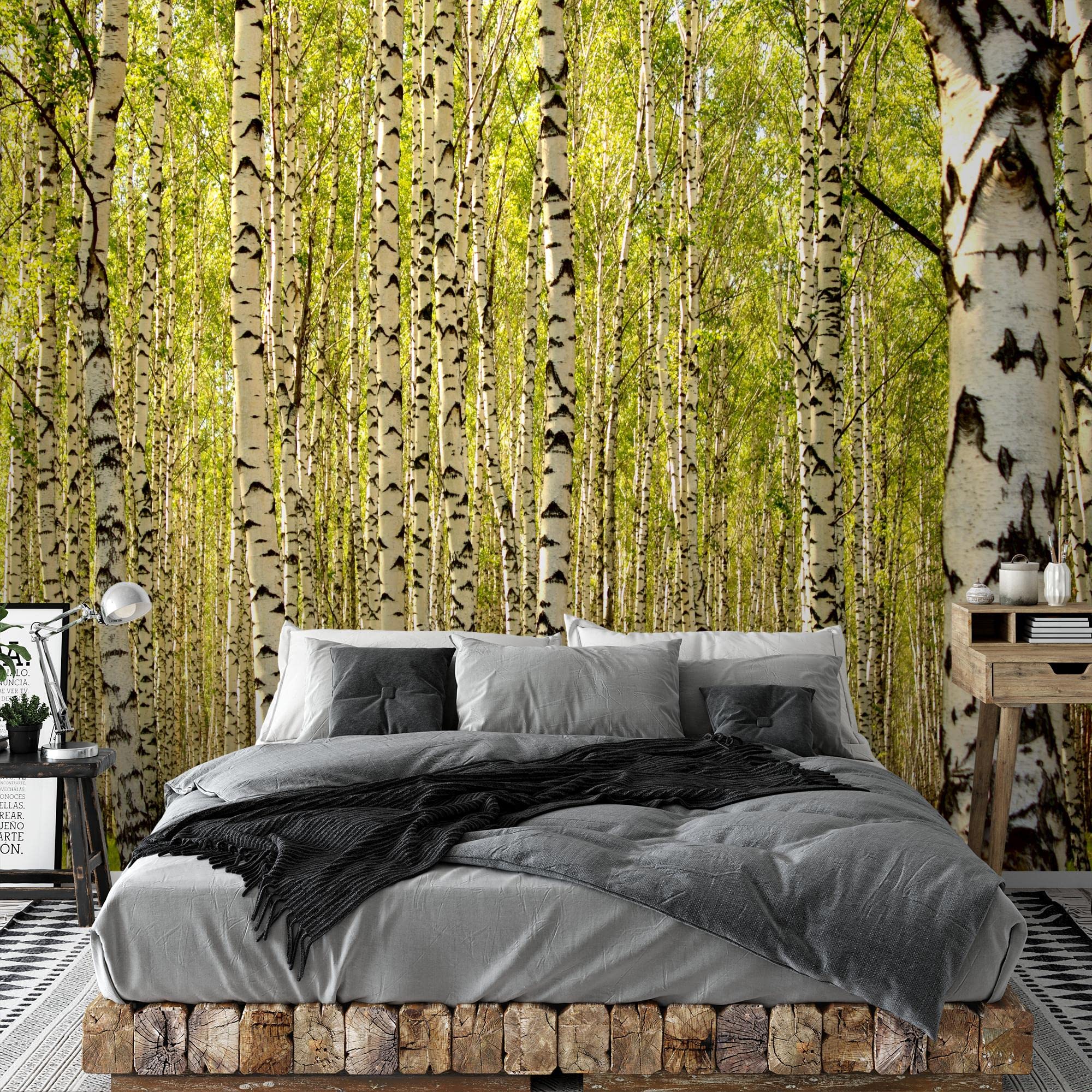 Aboiledy Papier Peint Bouleau Noir Blanc Chambre À Coucher Design