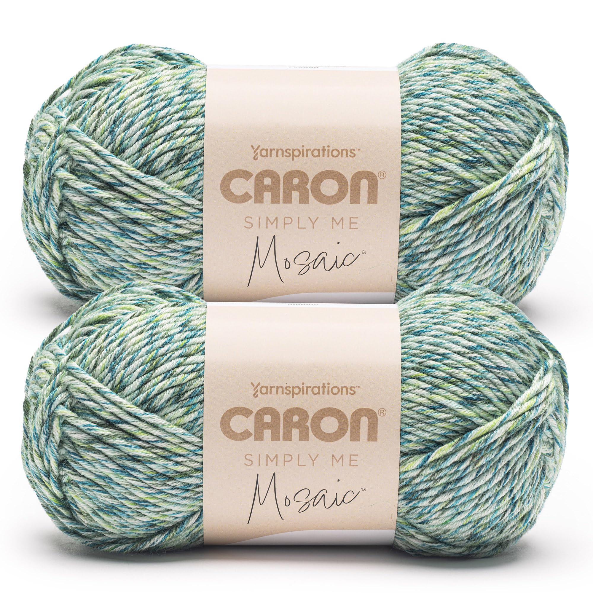 Amazon.com: Caron Simply Me Mosaic Grassy Yarn - 2 Pack of 140g