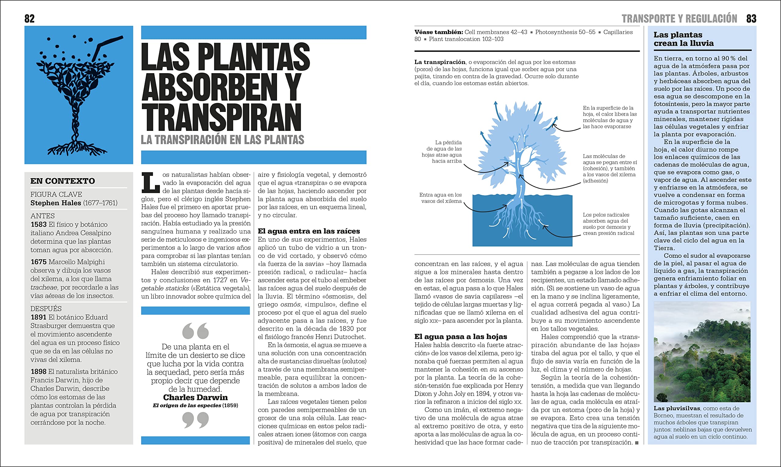 El libro de la biologia (The Biology Book) (DK Big Ideas) (Spanish Edition) - Image 7