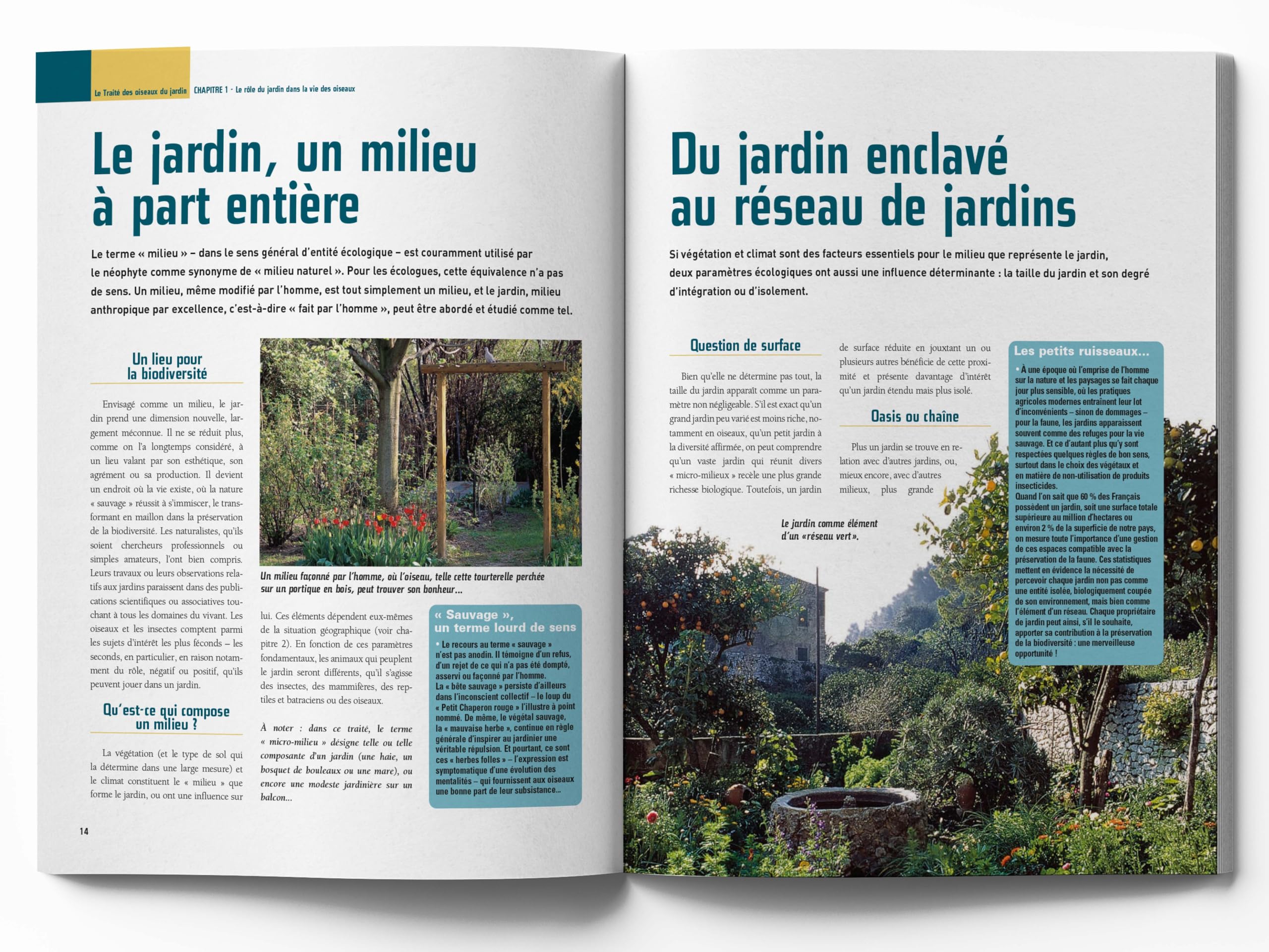 Le traité Rustica des oiseaux: Des jardins, des bois et des campagnes