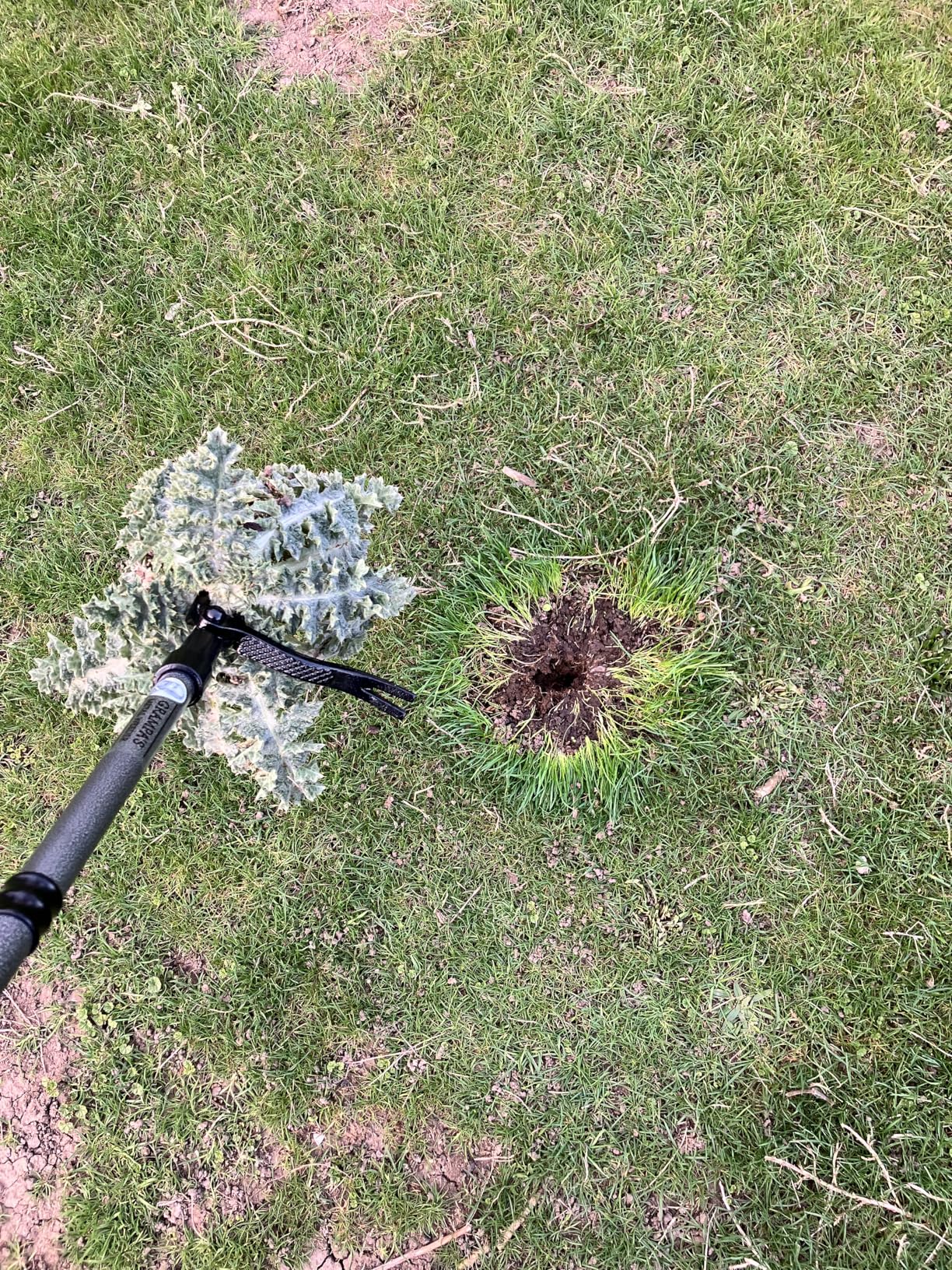 Grampa's Metal Weeder Stand Up Weed Puller