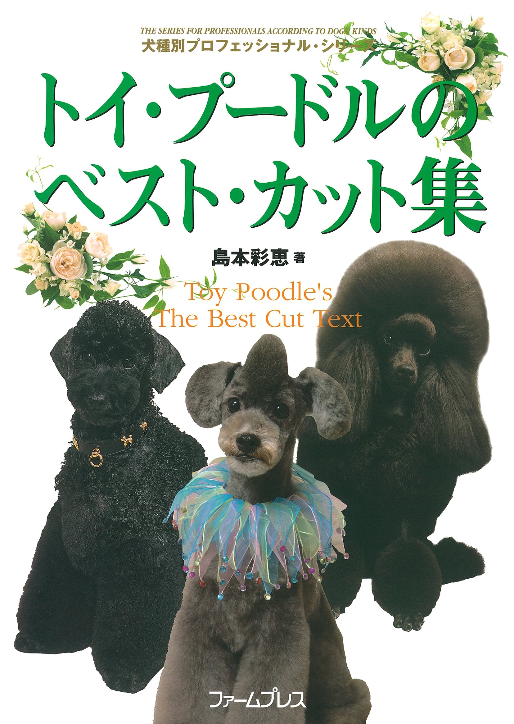 トイプードル 写真集 723 トイプードル Stock Photos, High-Res Pictures, and Images