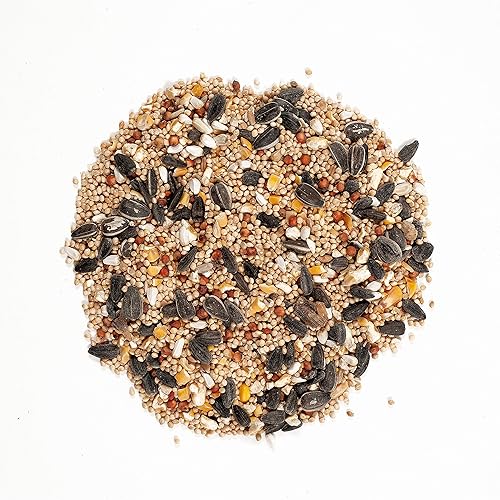 Vista 10 de Wild Delight Cacahuetes Inshell, 5 lb