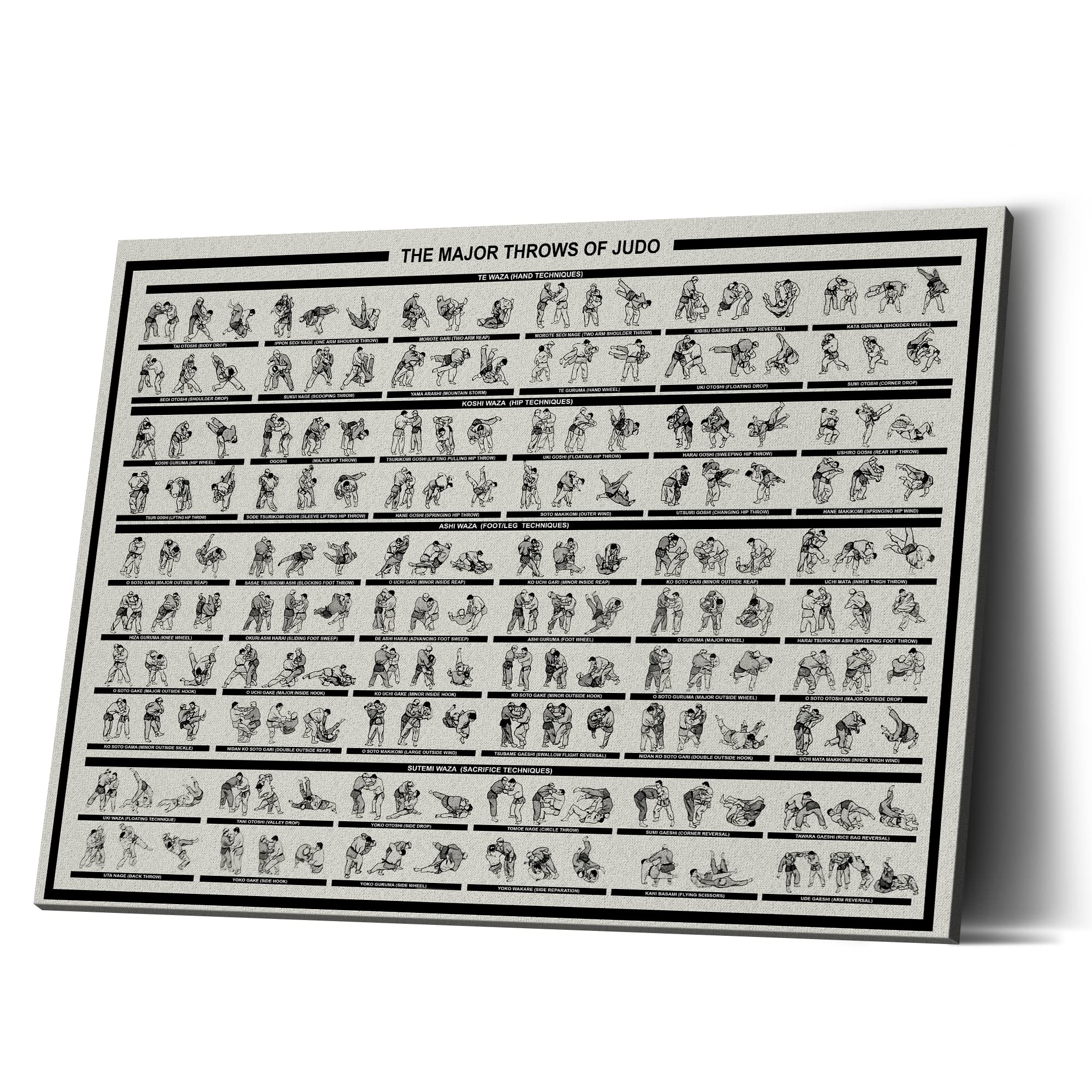 Piratify Judo Knowledge Wall Art, Judo Knowledge Poster Major of Throws of Judo Guide Poster Canvas 1.5in Framed Prints Wall Art Home Decoration Artwork Picture (HN_PA3514)