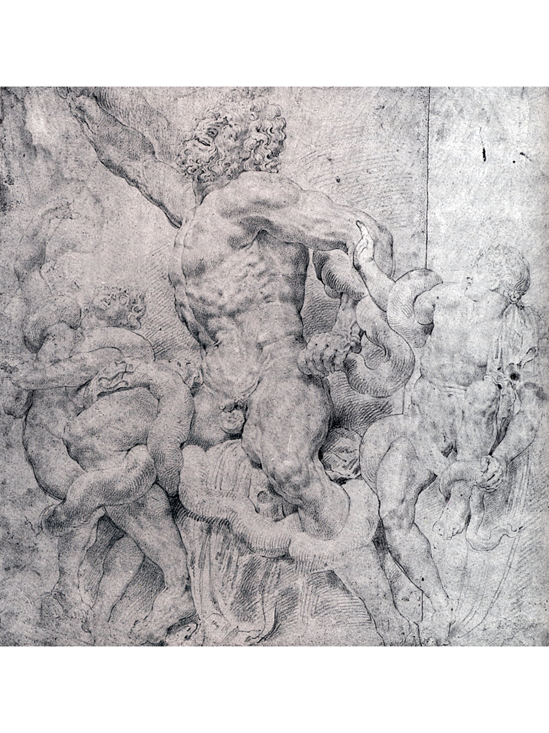 Laocoon and His Sons by Peter Paul Rubens