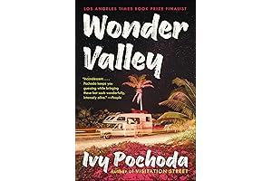 Wonder Valley: A Novel by Ivy Pochoda