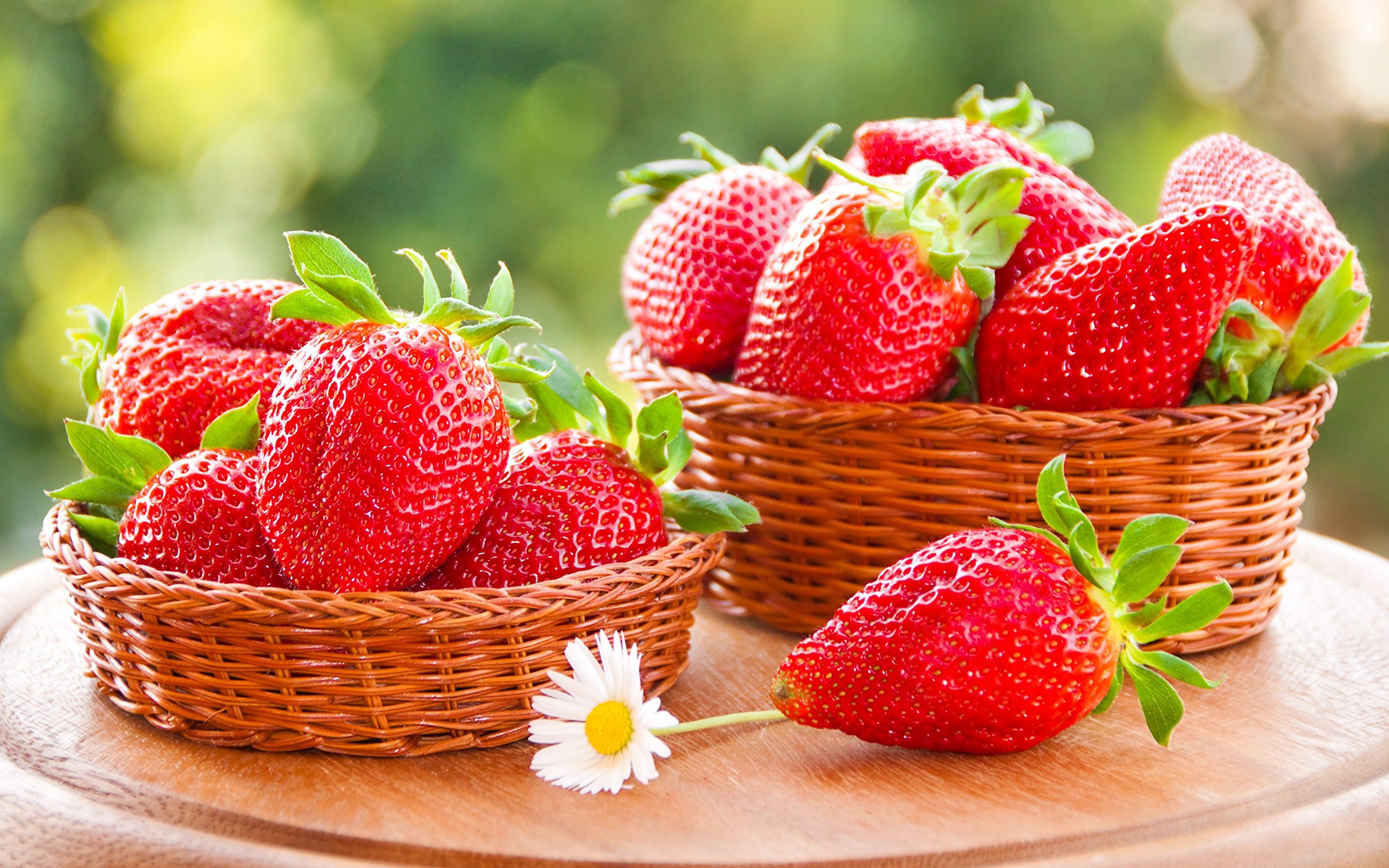 See full amazon price history chart for Creative Farmer Herbal Plant Seeds - Alpine Strawberry Hybrid Kitchen Garden Pack Creative Farmer Herbal Plant Seeds - Alpine Strawberry Hybrid Kitchen Garden Pack (B0753HB71T) Amazon Price History, Amazon Price Tracker