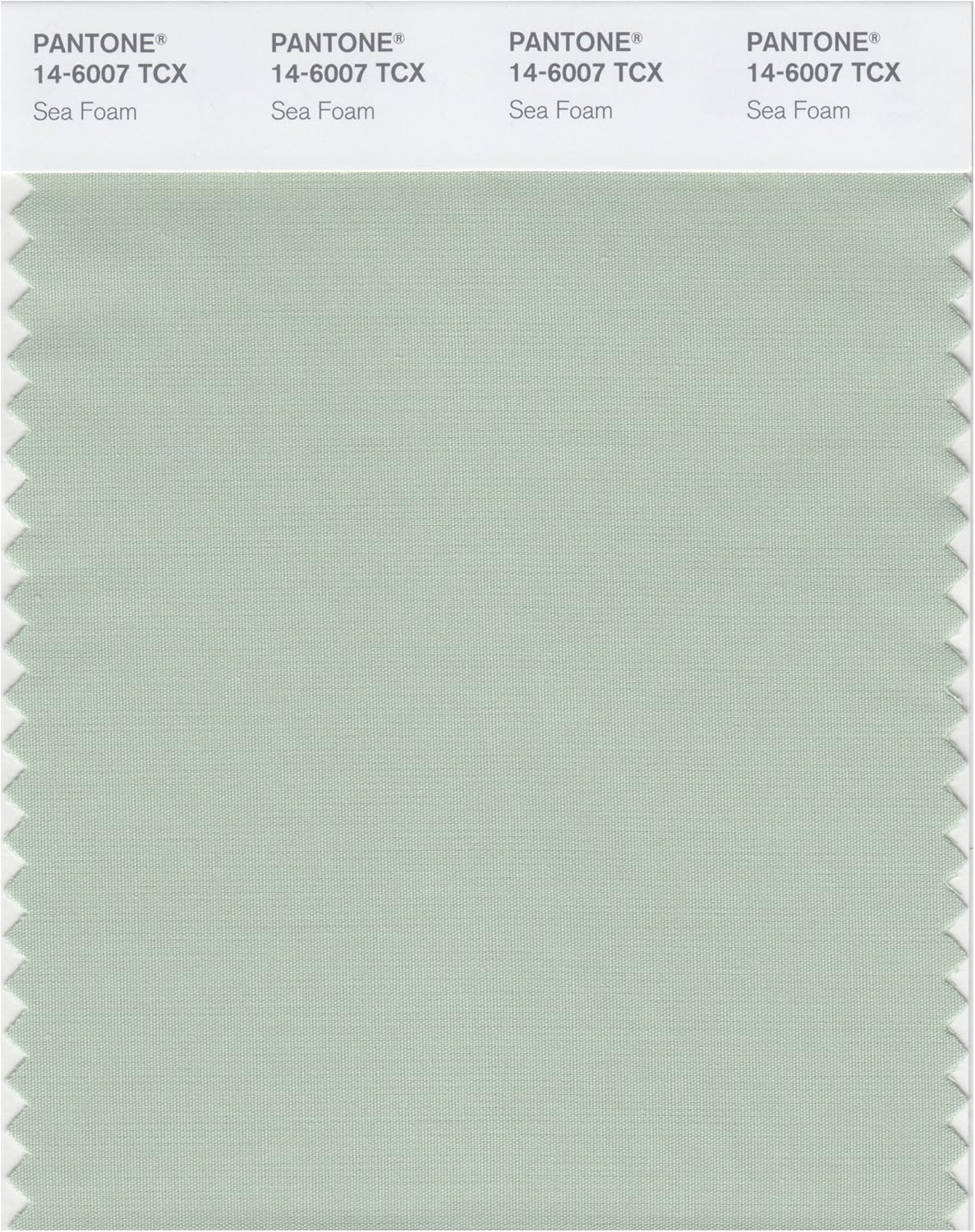 PANTONE Smart 14-6408X Color Swatch Card, Abbey Stone