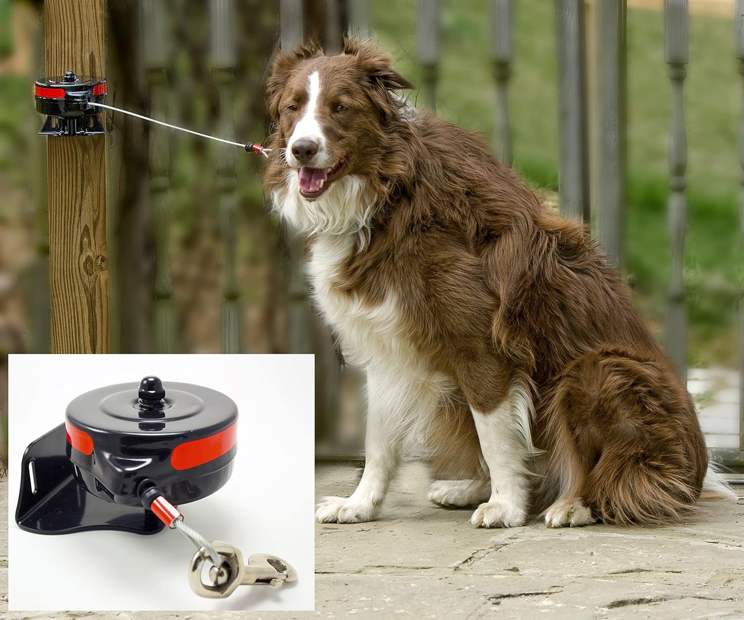 Lixit® Bracket Mount and Stake Retractable Leash Tie Outs for Dogs (Large (Pack of 2), Bracket)
