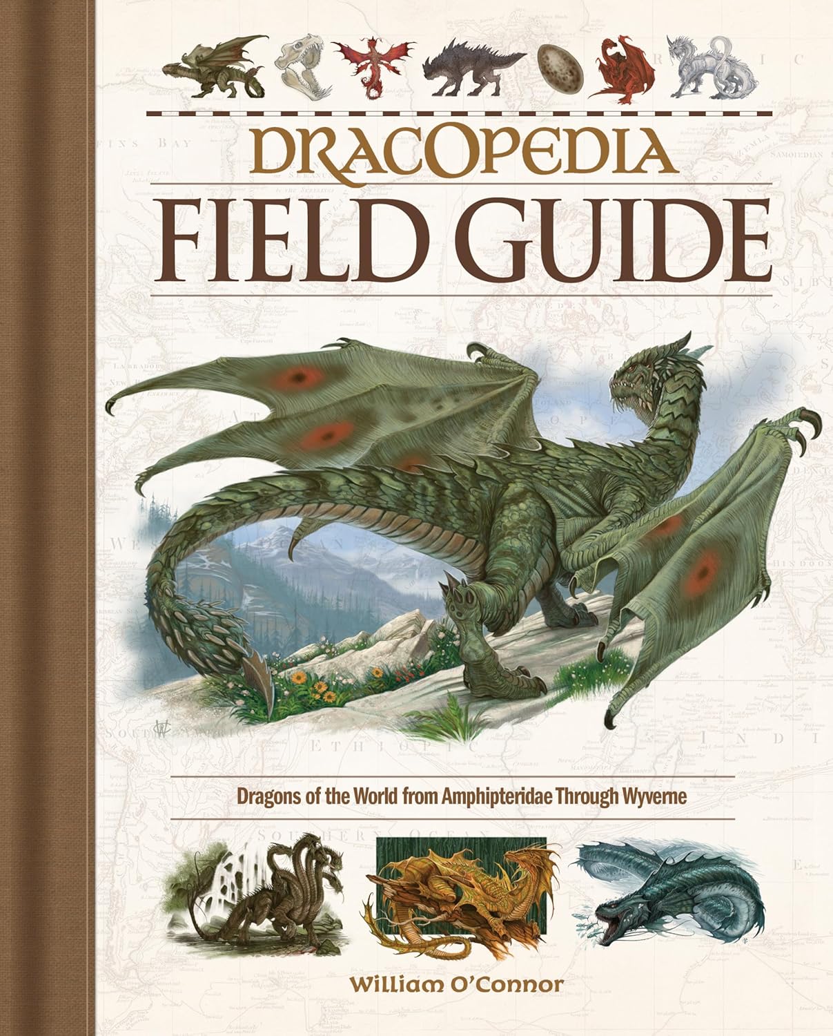 Product image of Dracopedia Field Guide: Dragons of the World from Amphipteridae through Wyvernae