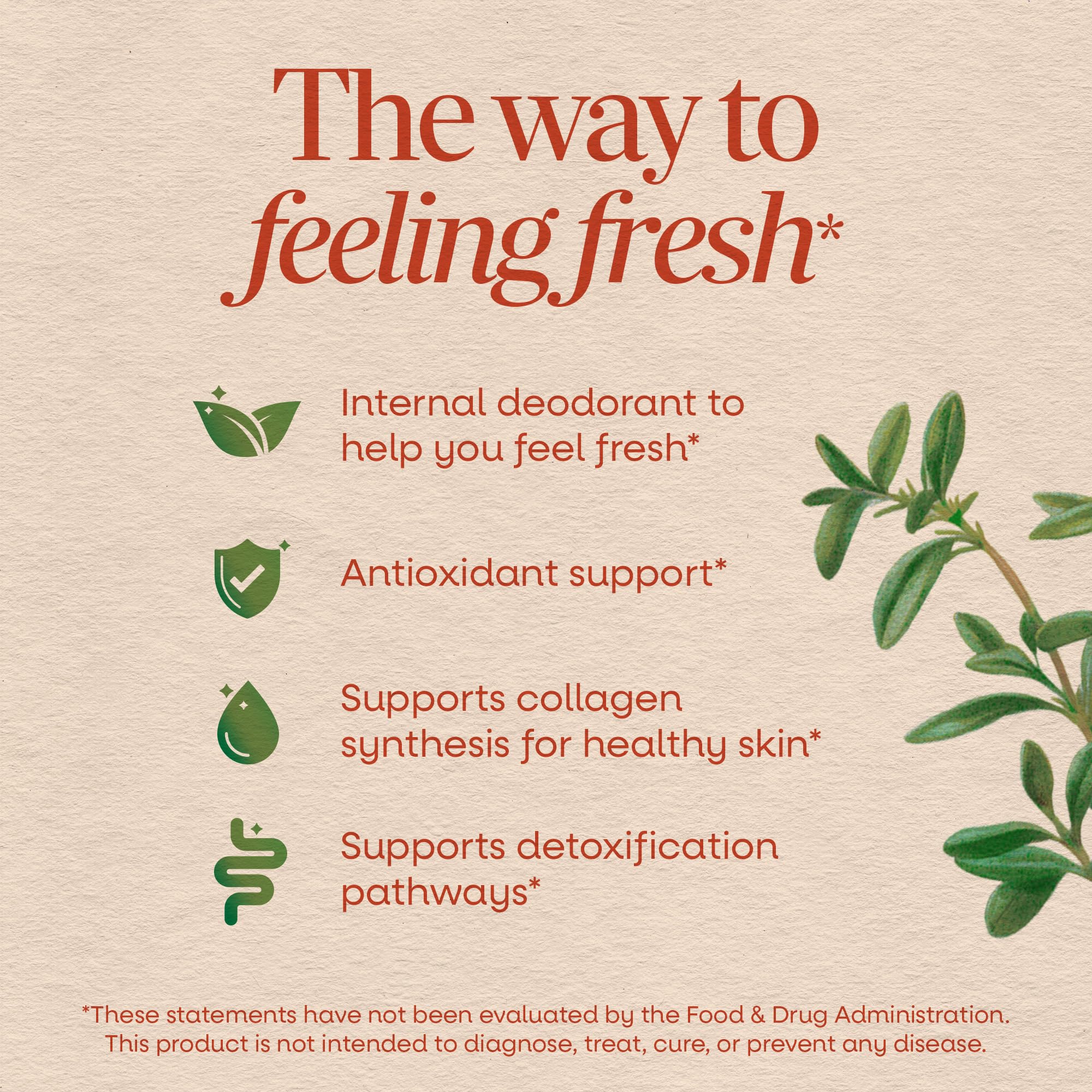 Nature's Way Chlorofresh Chlorophyll Gummies, Supports Healthy Skin and Body Detox*, Internal Deodorant*, Orchard Fruit Flavored, 60 Gummies — Amazon image 3