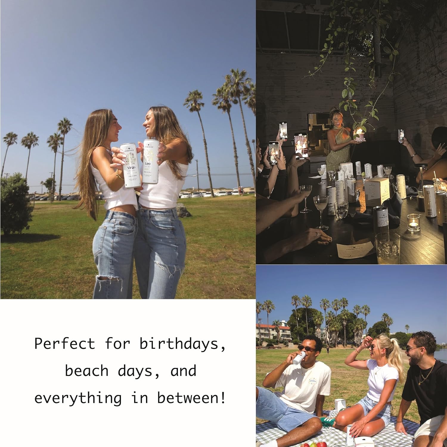 Hydrology Zodiac Water - 12 Sign Variety Pack - Organically Flavored Social Sparkling Water with unique Vitamins and Minerals tailored to each Zodiac Sign, Astrology Drink for Birthday Gift (12-Pack, 12 Sign Variety Pack)