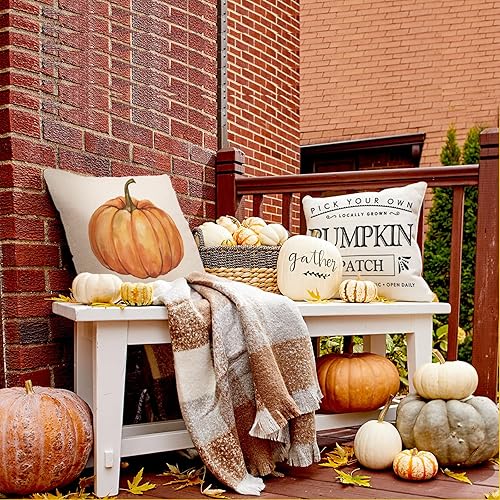 Miniatura 2 de ZWJD Fundas de almohada de otoño, juego de 4 almohadas decorativas de 18 x 18 pulgadas con calabaza, hojas de arce y diseños de Hello Autumn para