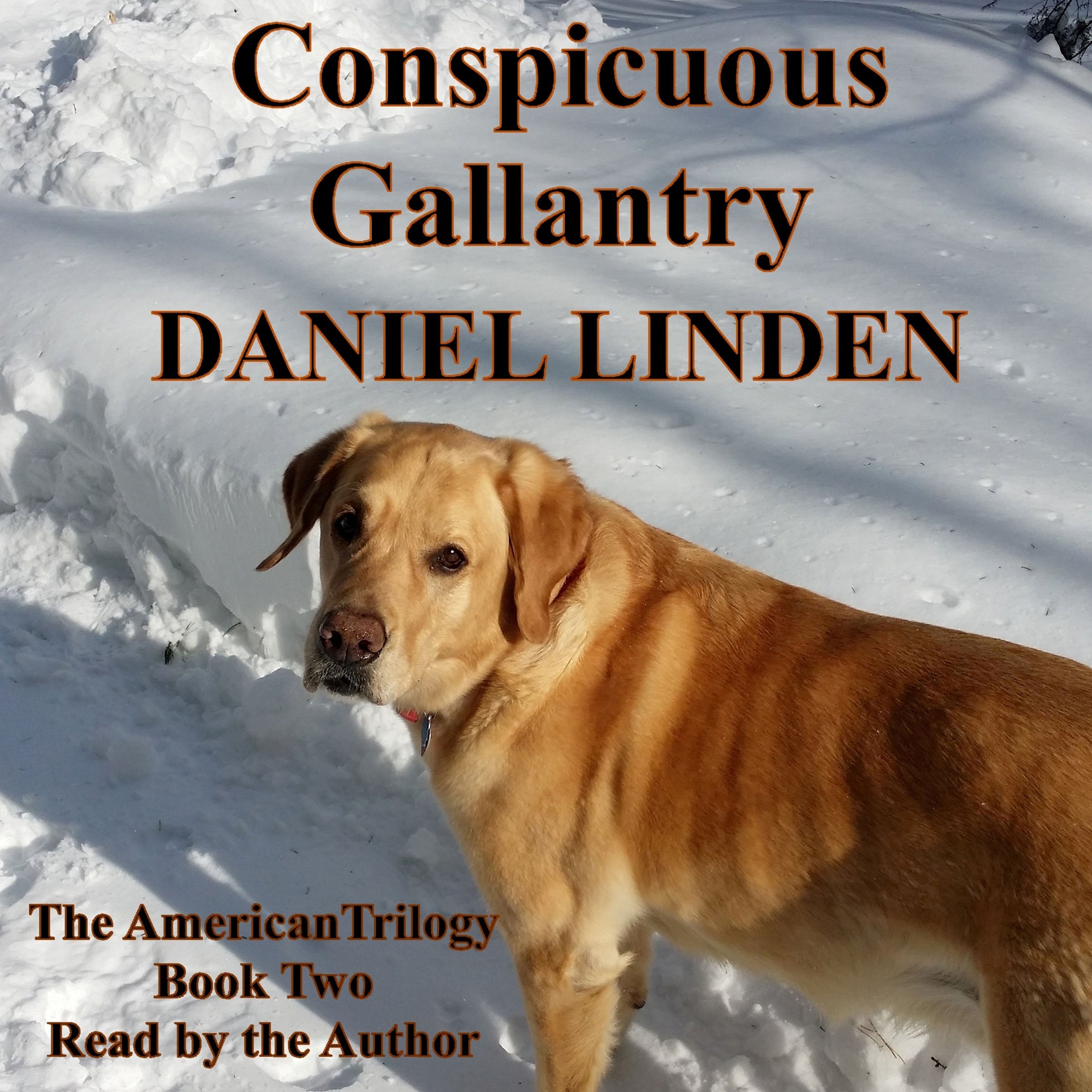 Conspicuous Gallantry