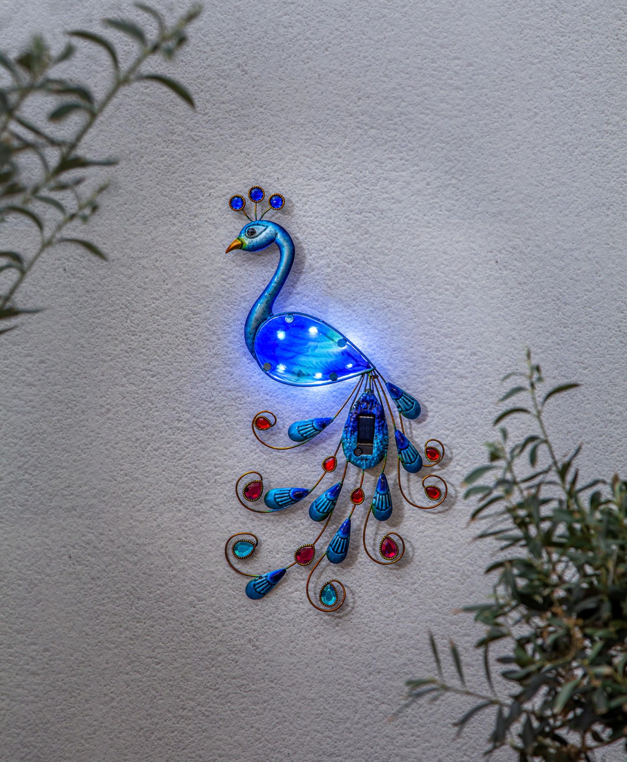 Star Trading 482-21 Paon décoratif Solaire à 6 LED Blanches, env. 27 x 52 cm, Panneau Solaire, Batterie, extérieur, Carton 4 Couleurs